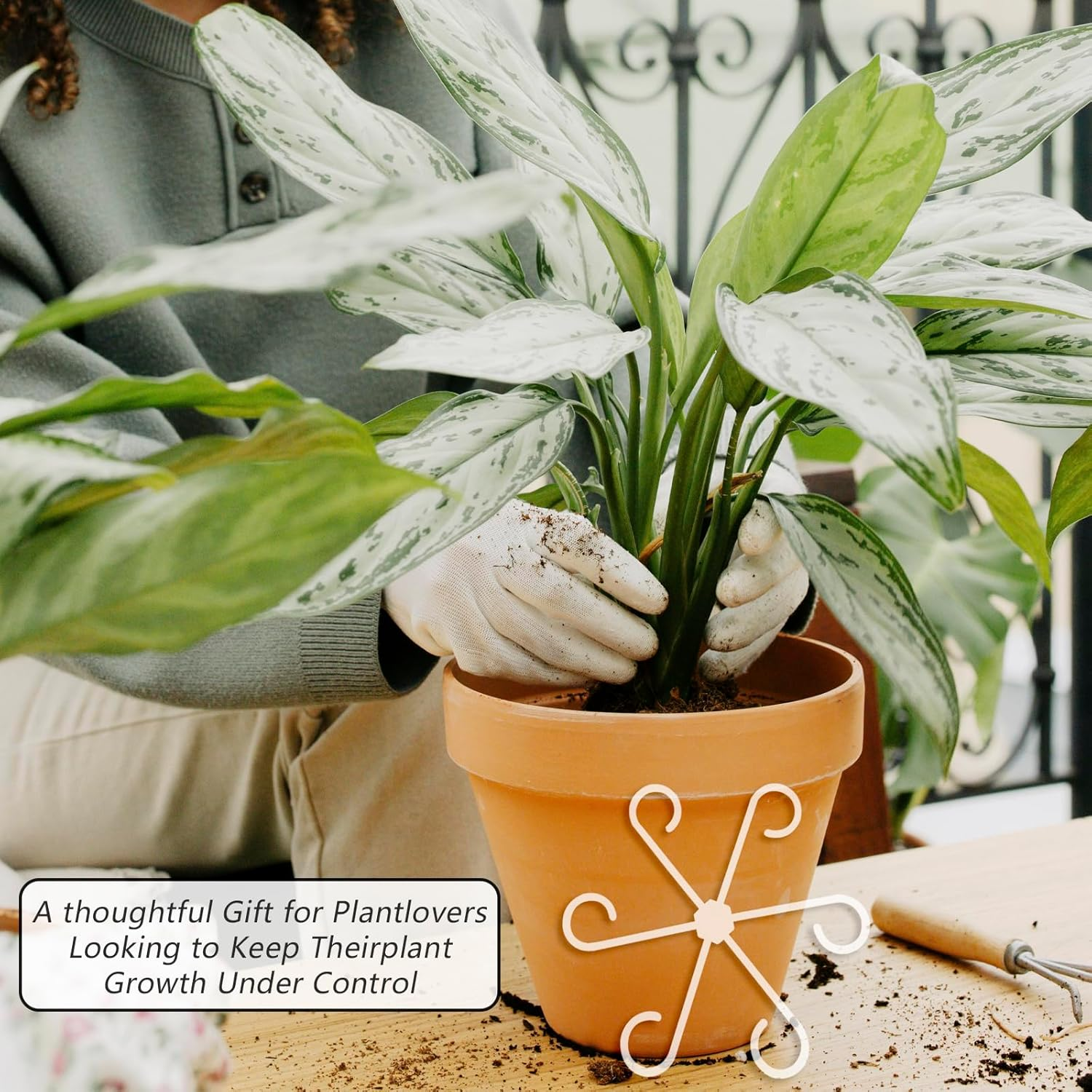 4 PCS Plant Stem Support, Climbing House Plant Stem Support, Plant Supports for Indoor Plants, Reusable Houseplant Accessories（Transparent） - Red image number 7