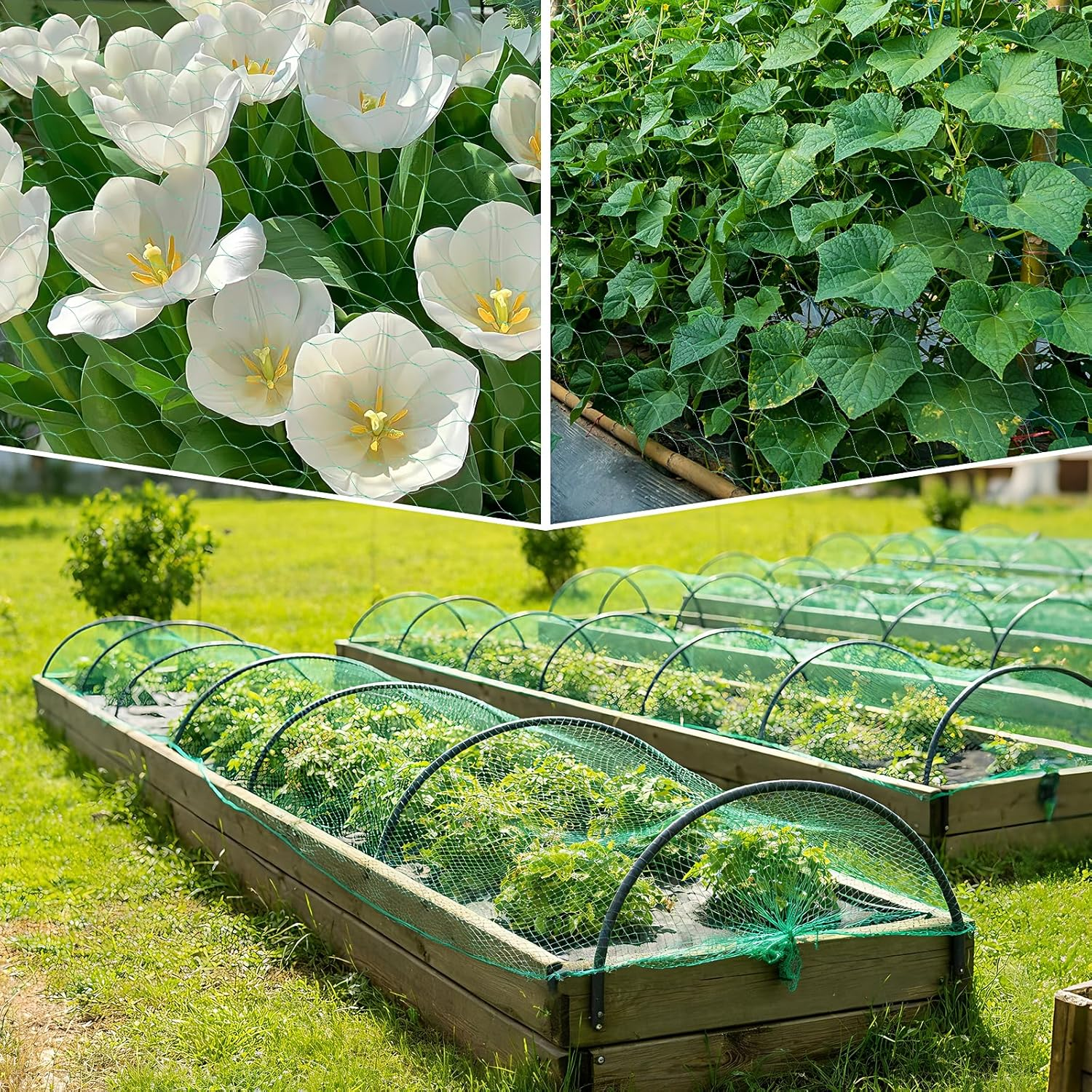 4M X 12M Bird Netting for Garden, Plant Netting for Protecting Plants, Flowers, Vegetables and Fruits,Green