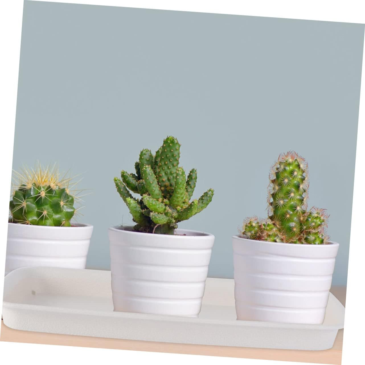 VANZACK 4Pcs Rectangular Flowerpot Trays for Indoor and Outdoor Gardening Lightweight Drip Saucer Plates to Prevent Soil and Water Spills Special image number 6