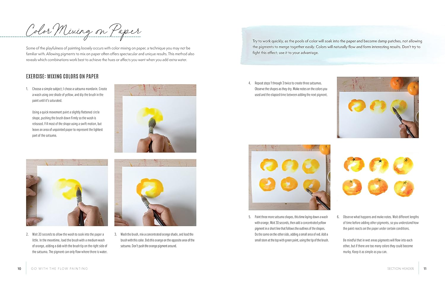Go with the Flow Painting: Step-By-Step Techniques for Spontaneous Effects in Watercolor - Create Expressive Flowers, Animals, Food, and More image number 5