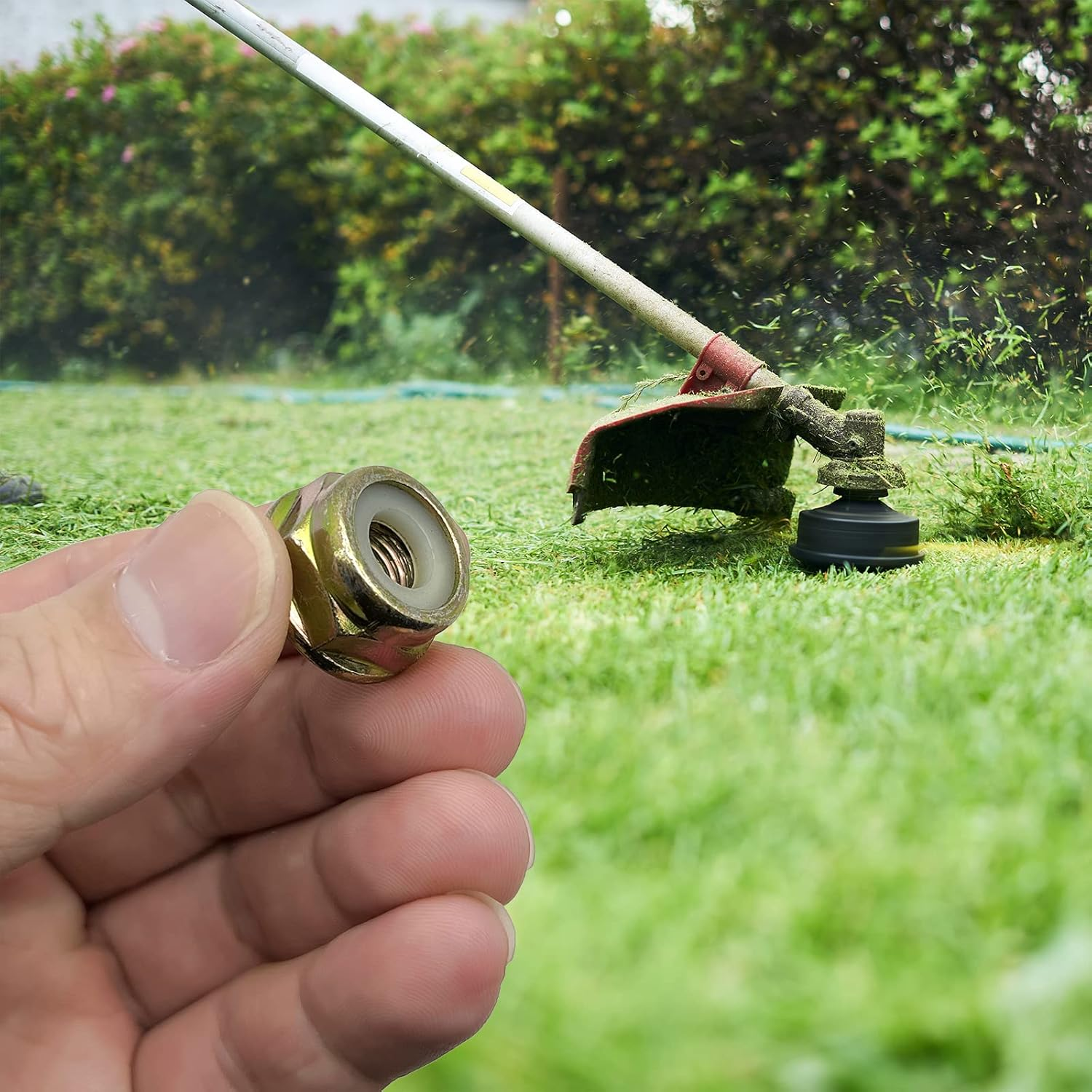 Universal Left Hand Thread Blade Nut M10 X 1.25 Replacement for String Trimmer Brush Cutter Gear Head Blade Case Accessories 4 PCS image number 5