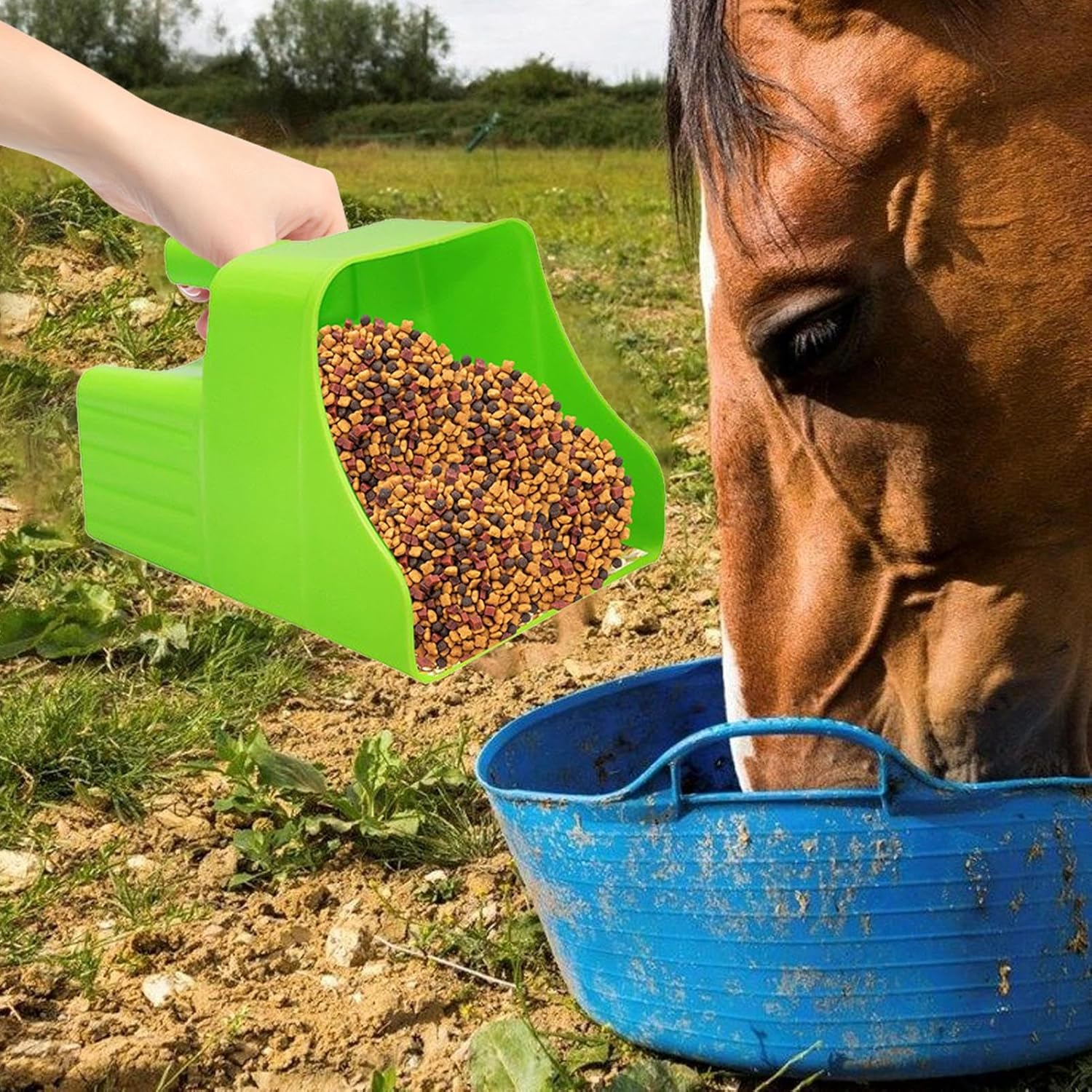 Chicken Feed Scoop | Coop Feeding Shovel - Ergonomic Feed Scoop for Farming Livestock Care Gardening Poultry Feeding Backyard Sheep Chicken Horse Cattle