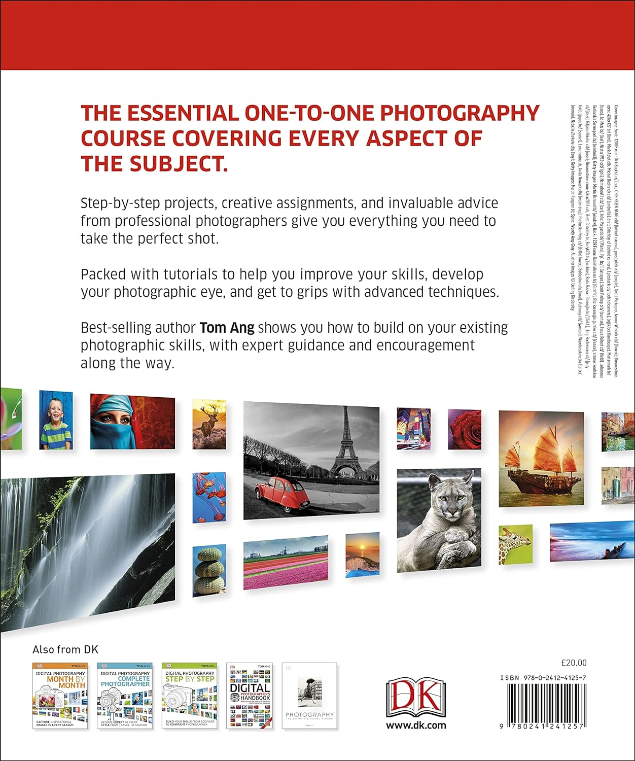 Digital Photography Masterclass: Advanced Techniques for Creating Perfect Pictures image number 3