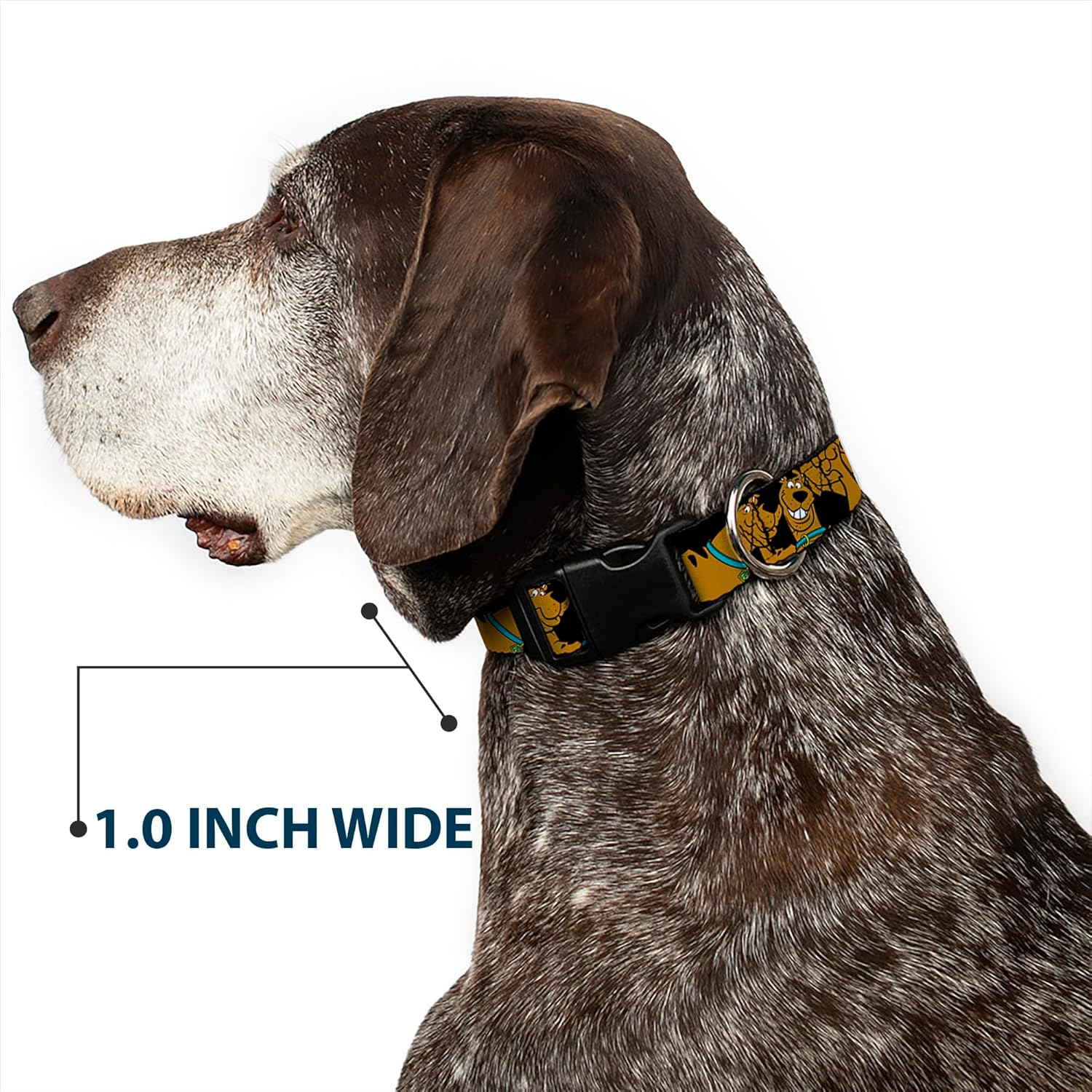 Buckle-Down Scooby Doo Stacked Closeup Black Plastic Clip Collar, Wide Large/18-32 image number 2