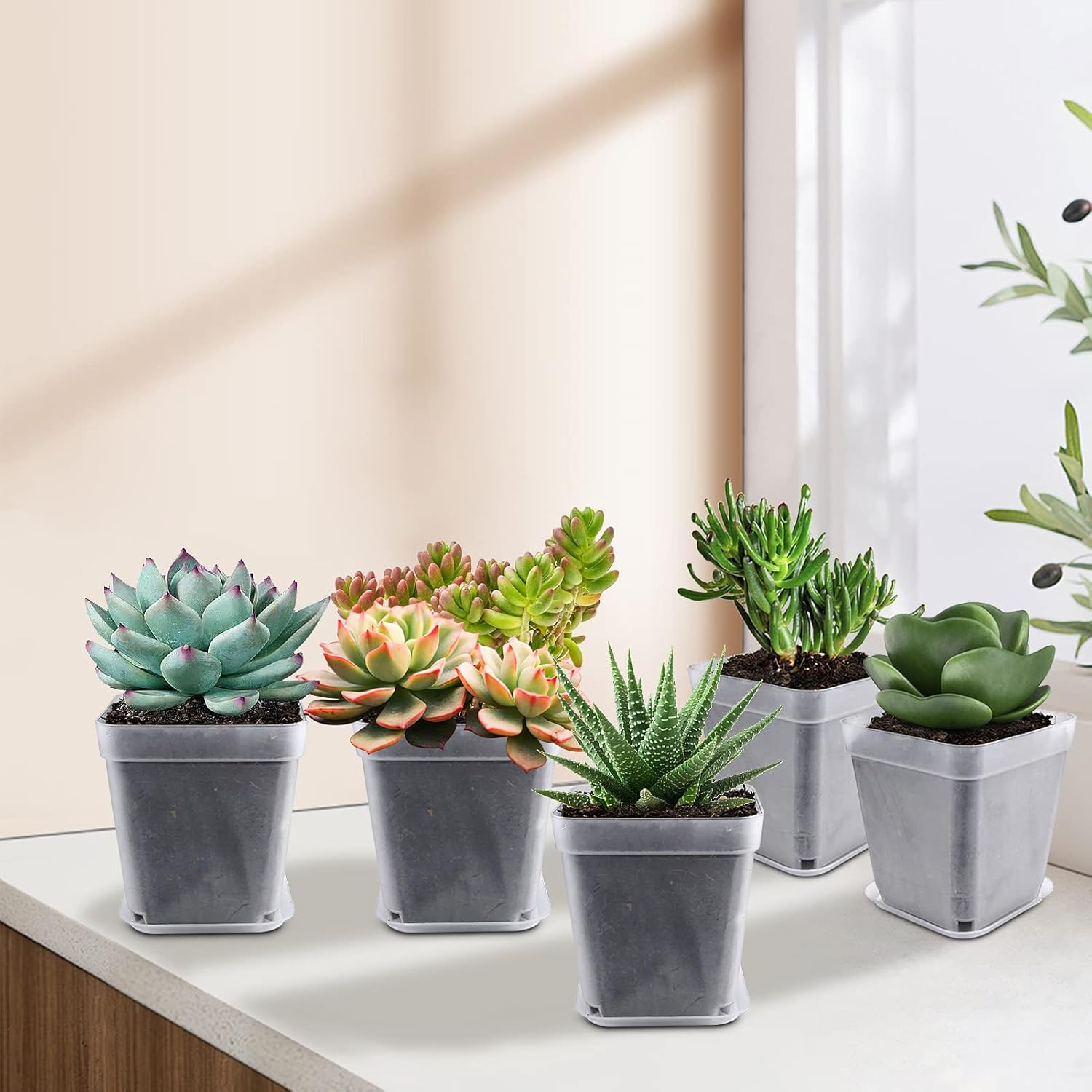 Square Nursery Pots Plastic 28 Pcs 3 Inches with Saucers and Plant Labels Reusable Seedling Pots Frosted Starter Plant Pots Mini Planter for Indoor/Outdoor