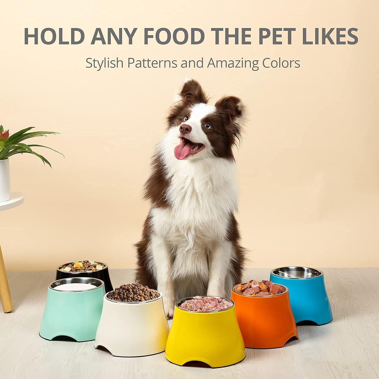 Yoken Sturdy Elevated Dog Bowls 2 Packs, [Prevention of Vertebrae Disease] [2X Non-Slip] Dog Food Bowls with Stainless Steel Bowl, High Capacity Water Bowl Colorful Raised Bowl for Medium Small Dogs image number 5