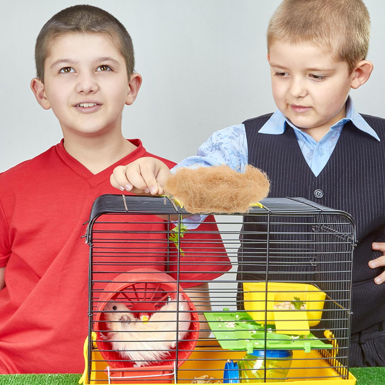 Yardwe 1Bag Raffia Nesting Material for Birds DIY Bird Nest Materials Natural Grass Nest Supplies for Parrots and House for Cage Nesting image number 2