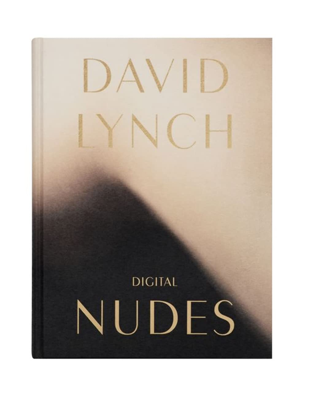 David Lynch, Digital Nudes image number 5