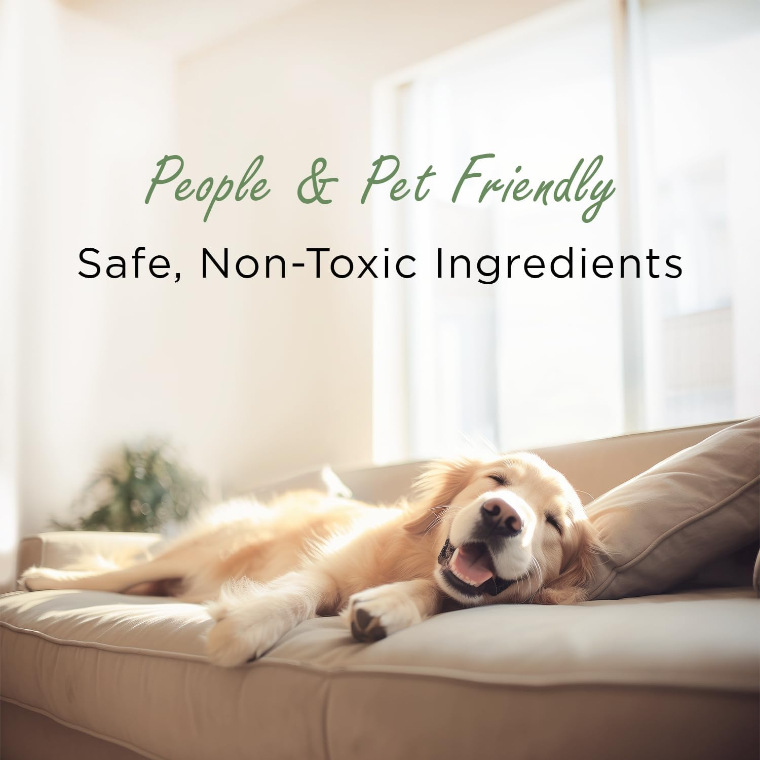 MOSO NATURAL: the Original Air Purifying Bag. for Cars, Closets, Bathrooms, Pet Areas. an Unscented, Chemical-Free Odor Eliminator. 200G 4 Pack (Charcoal) image number 6