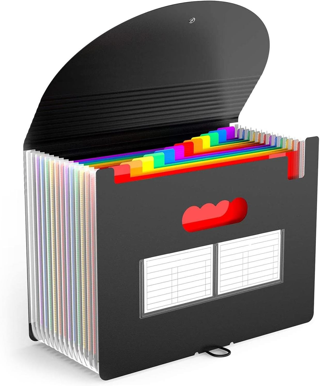 2 Folder Portable Organ File Bag,12 Pockets Accordion File Holder Organizer A4 Folder | Paper Document Receipt Organizer Accordion Filing Folder for Classroom, Home, Office, and Travel Puchen