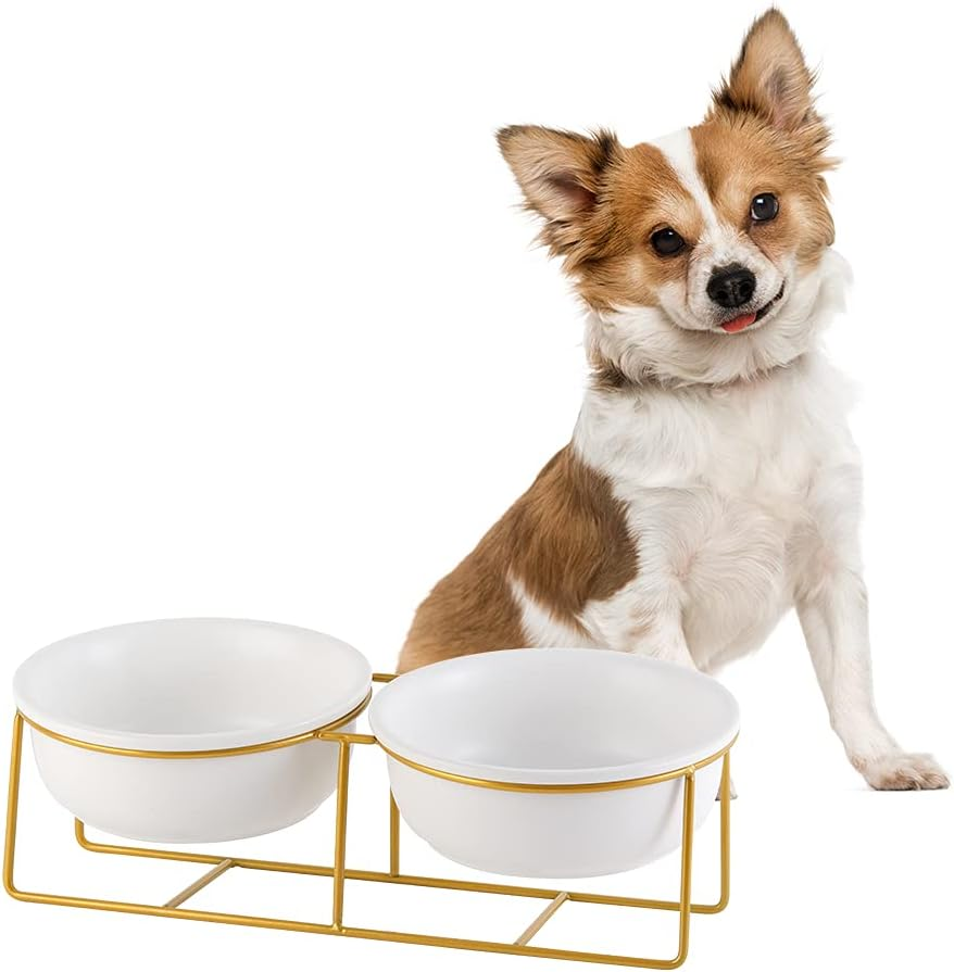 Small Double Elevated Dog Bowls - Raised Dog Bowl - Glass Dog Cat Bowl Set for Food and Water - Pet Comfort Feeding Bowls with Gold Iron Stand