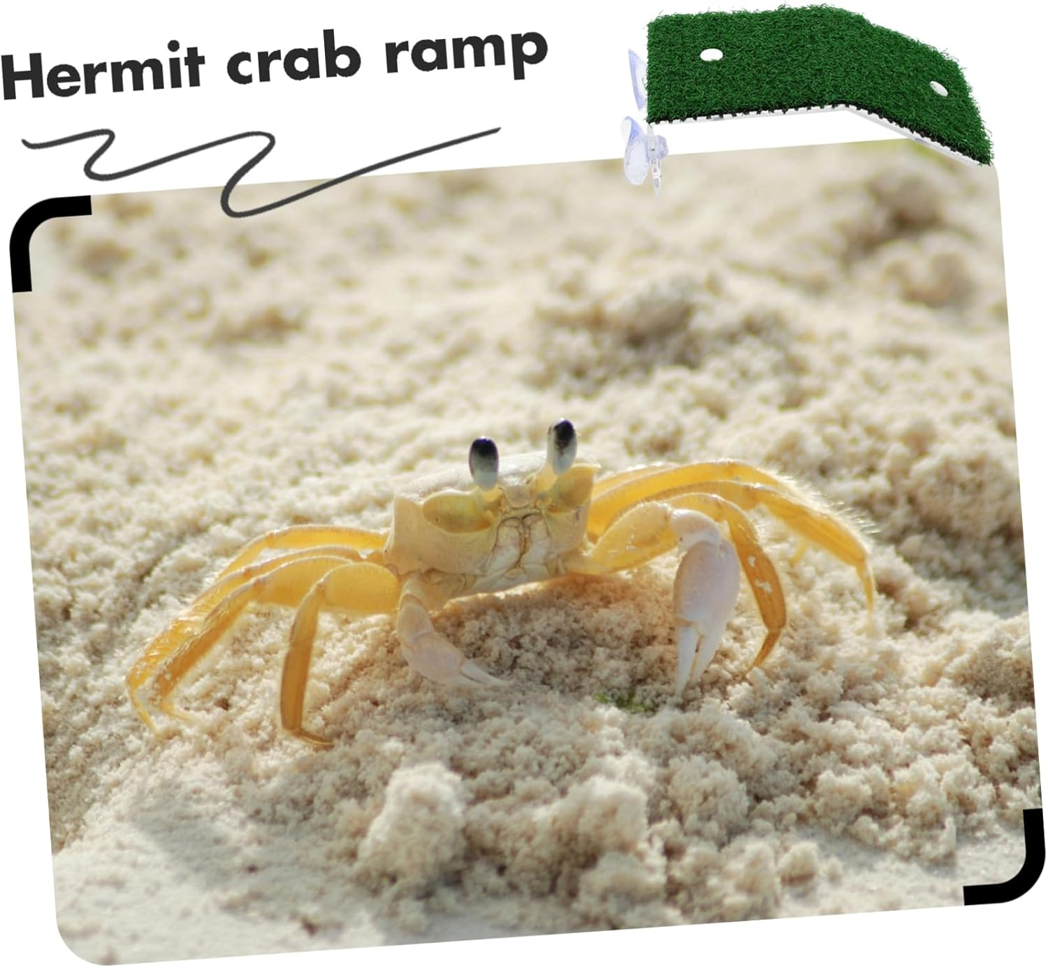 ROMISBABA Hermit Crab Basking Platform Simulated Grass Surface, Small Plastic Aquarium Climbing Ramp for Reptiles and Aquatic Turtles, Fish Tank Accessory for Hermit Crab and Turtle Habitat image number 6
