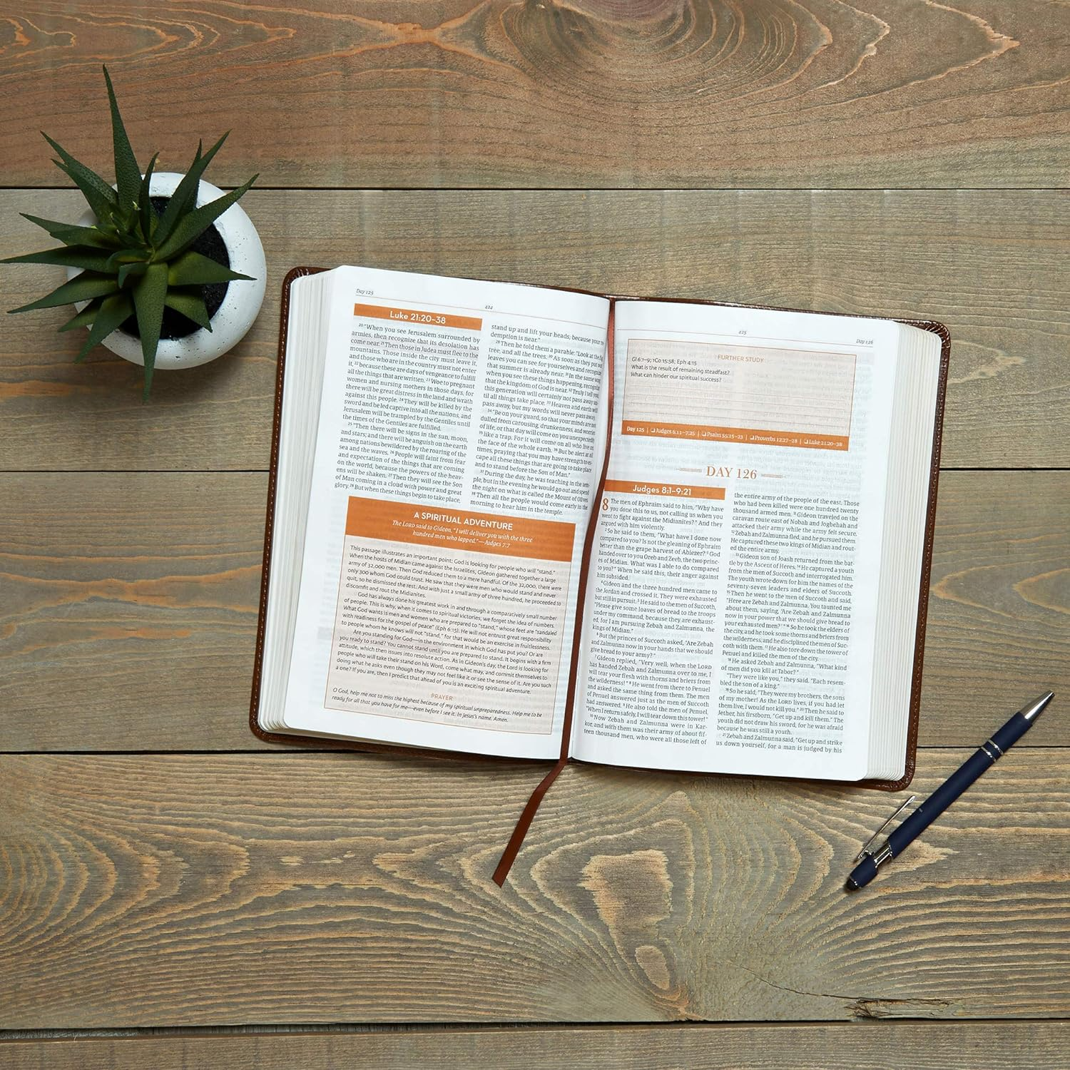 CSB Every Day with Jesus Daily Bible, Brown image number 6