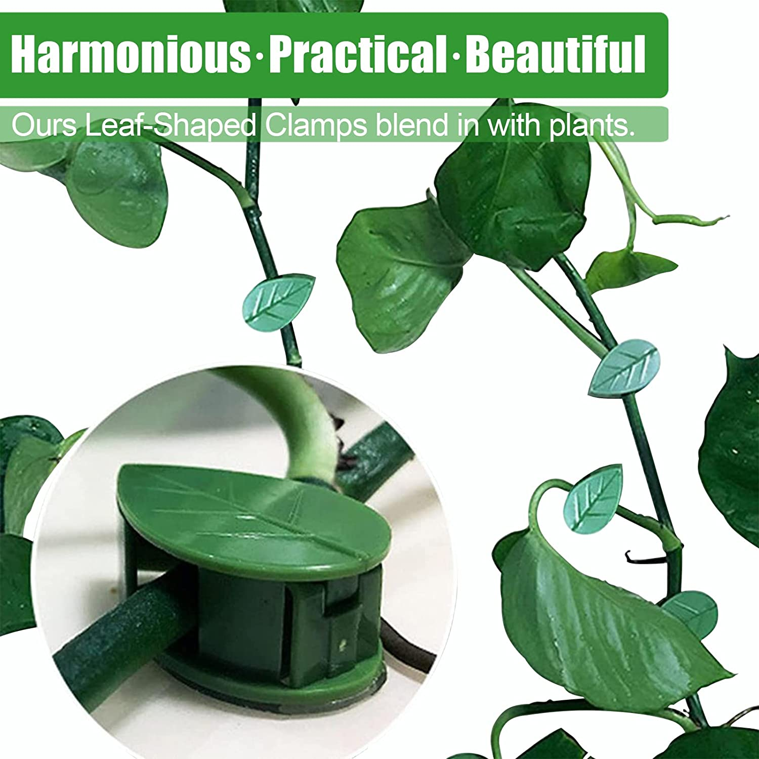 Plant Climbing Support Clips,Decoration Leaf Fixture Clips, Self-Adhesive Green Vine Clip (40Pcs Plant Climbing Support Clips) image number 2