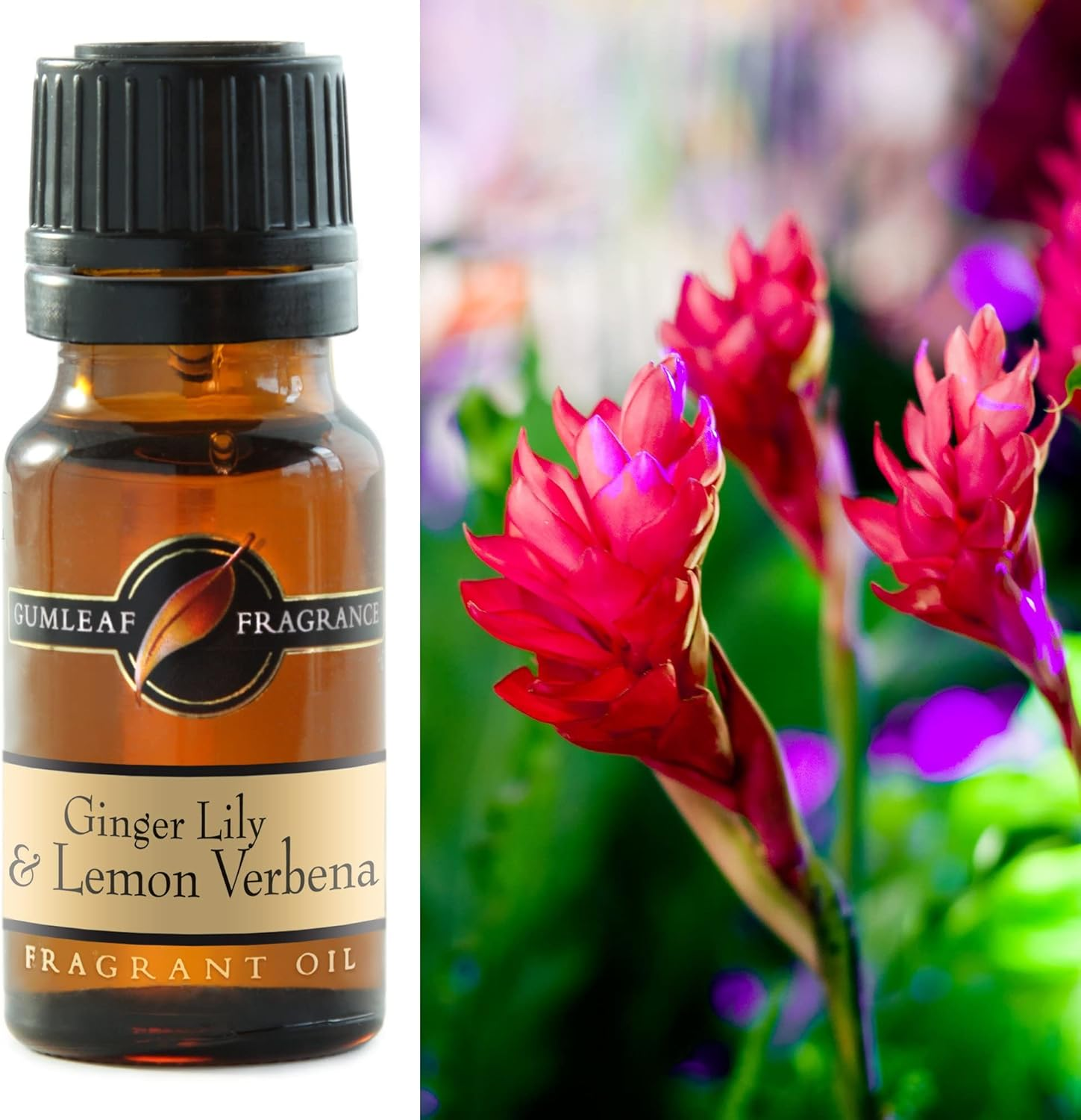 Gumleaf Fragrance Ginger Lily & Lemon Verbena Fragrant Oil - 10Ml, Cruelty Free & Vegan, Phthalate-Free Fragrance image number 1