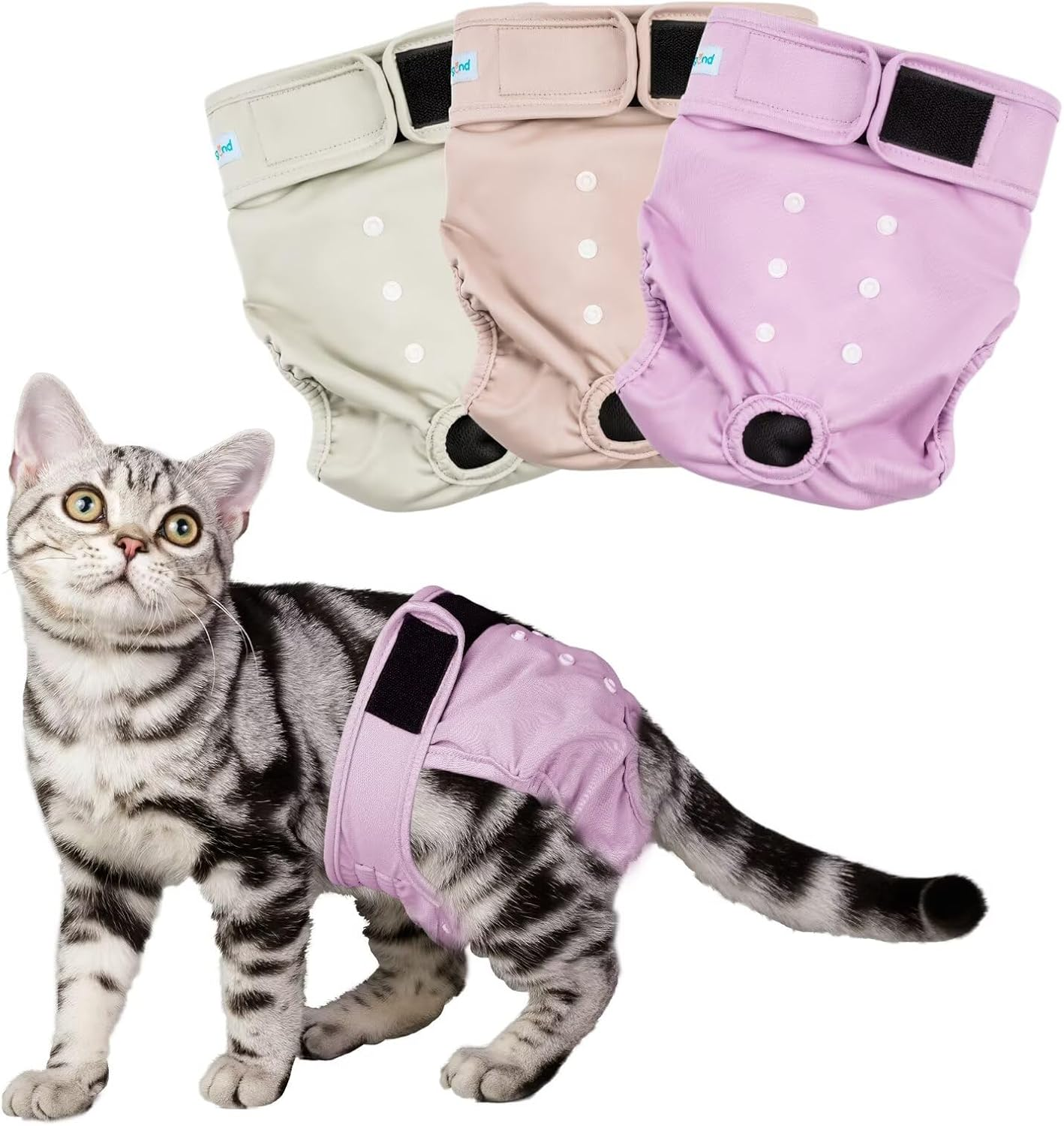 Paw Legend Cat Diapers for Female Cats Spraying Washable Reusable Kitten Diapers for Cats Incontinence Pet Diapers (3 Pack, Medium)