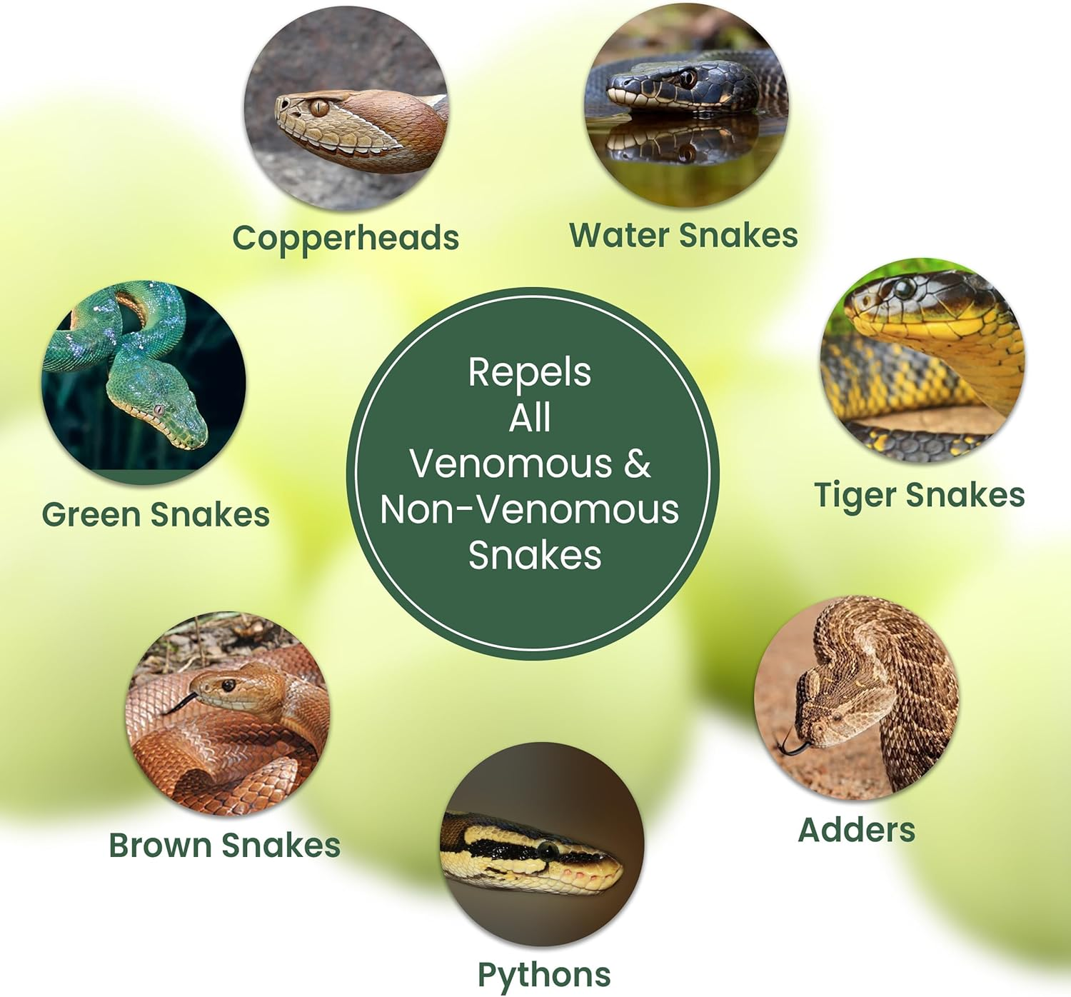 Snake Repellent Balls - 20 Pack | Best Snakes Deterrent for Yards | Keep Snake Away Repellent for Indoor or Outdoor, Garden, Lawn, Pet Safe image number 4