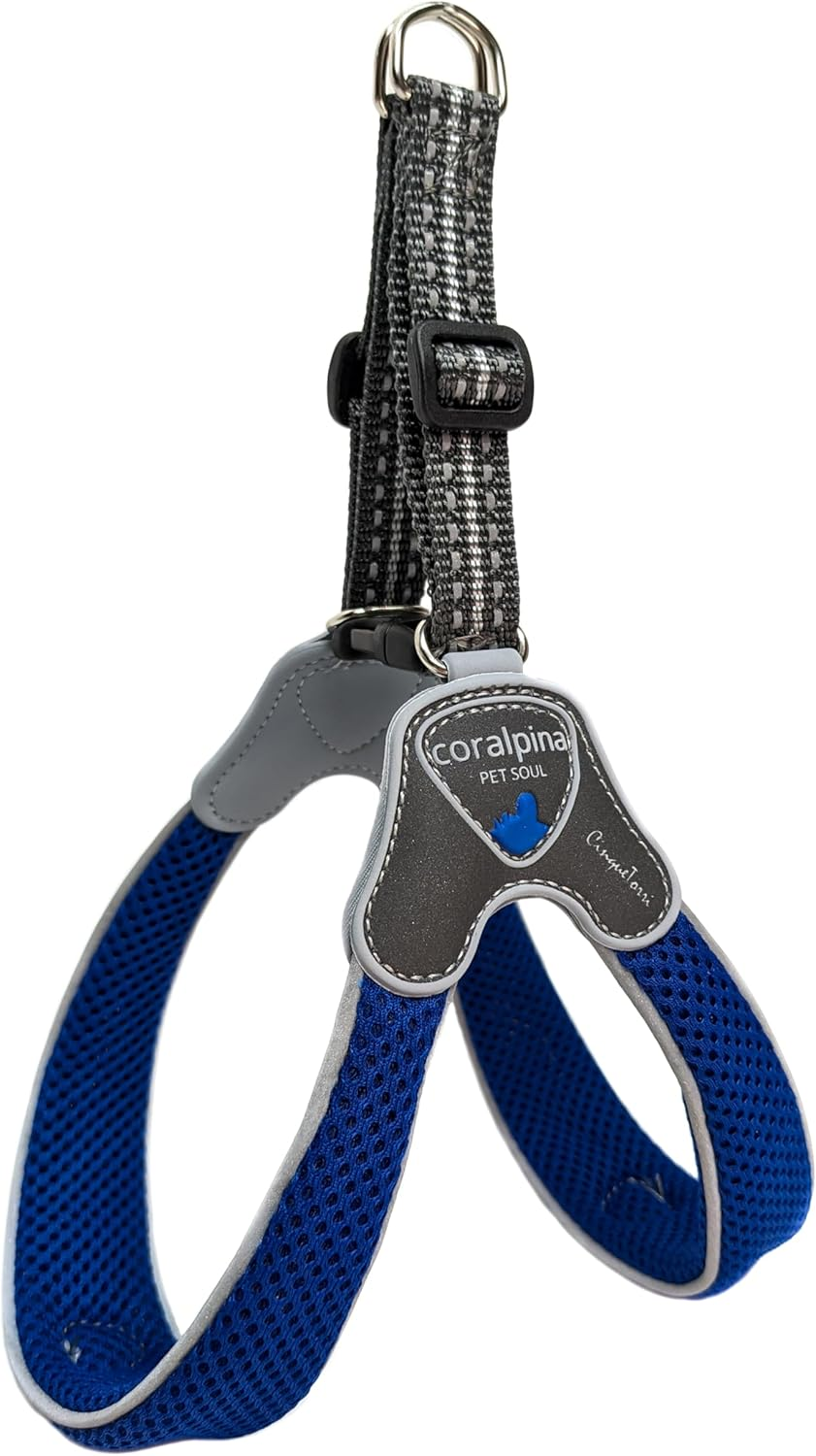 Coralpina Dog & Puppy Harnesses Italian Design & Quality Soft Airmesh (Large, Electric Blue)