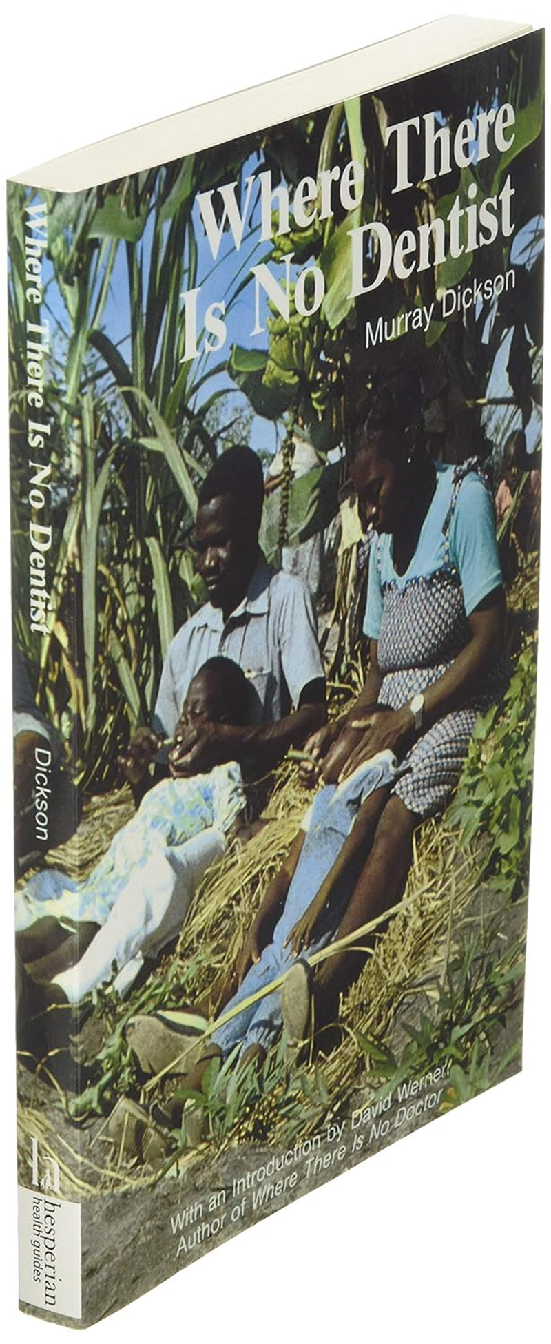 Where There Is No Dentist image number 4