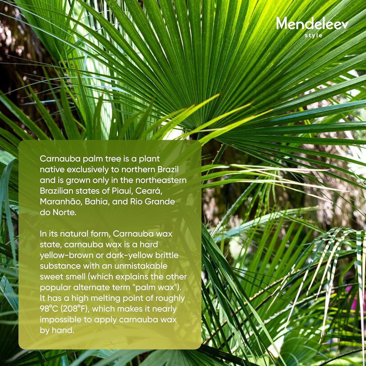 13 Oz (365 Gram) Carnauba Wax Flakes Pure Carnauba Wax Bulk for Wood Polishing image number 5