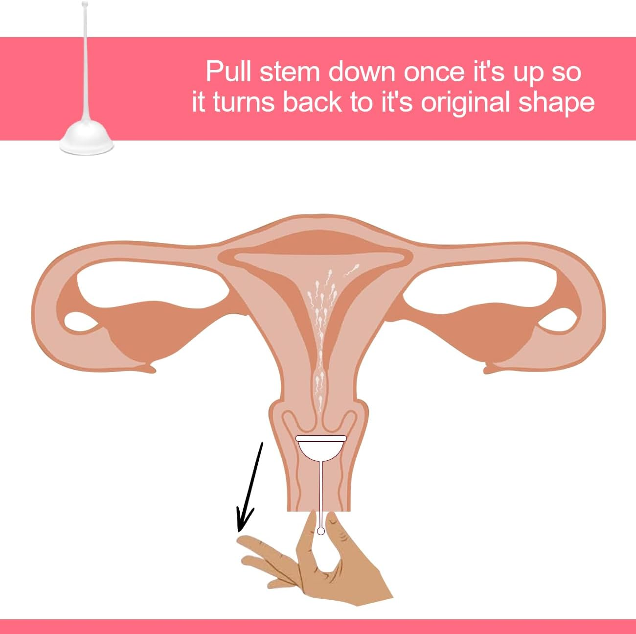 Cervix Sperm Cup,Transparent Color image number 3
