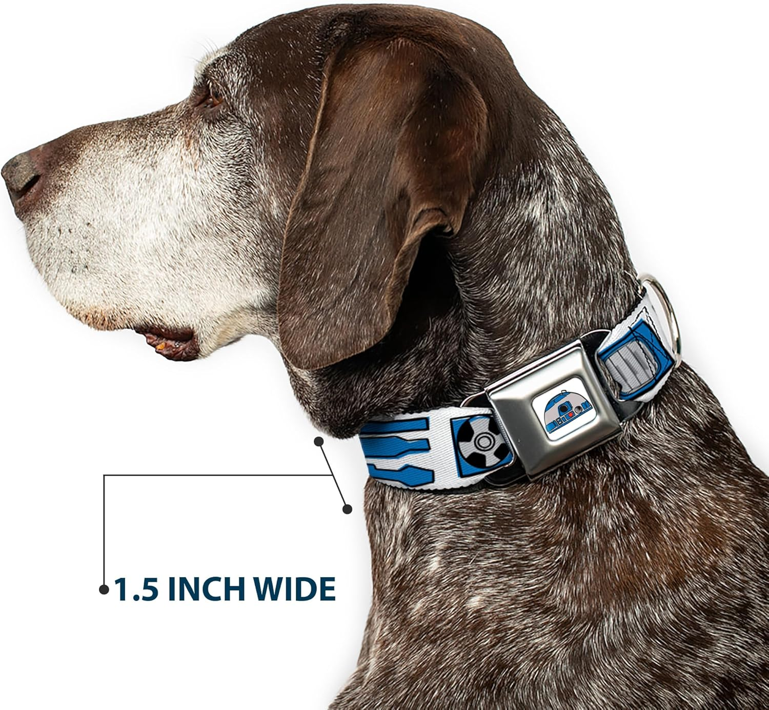 Dog Collar Seatbelt Buckle Star Wars R2D2 Bounding Parts White Black Blue Gray Red 15 to 26 Inches 1.0 Inch Wide image number 2