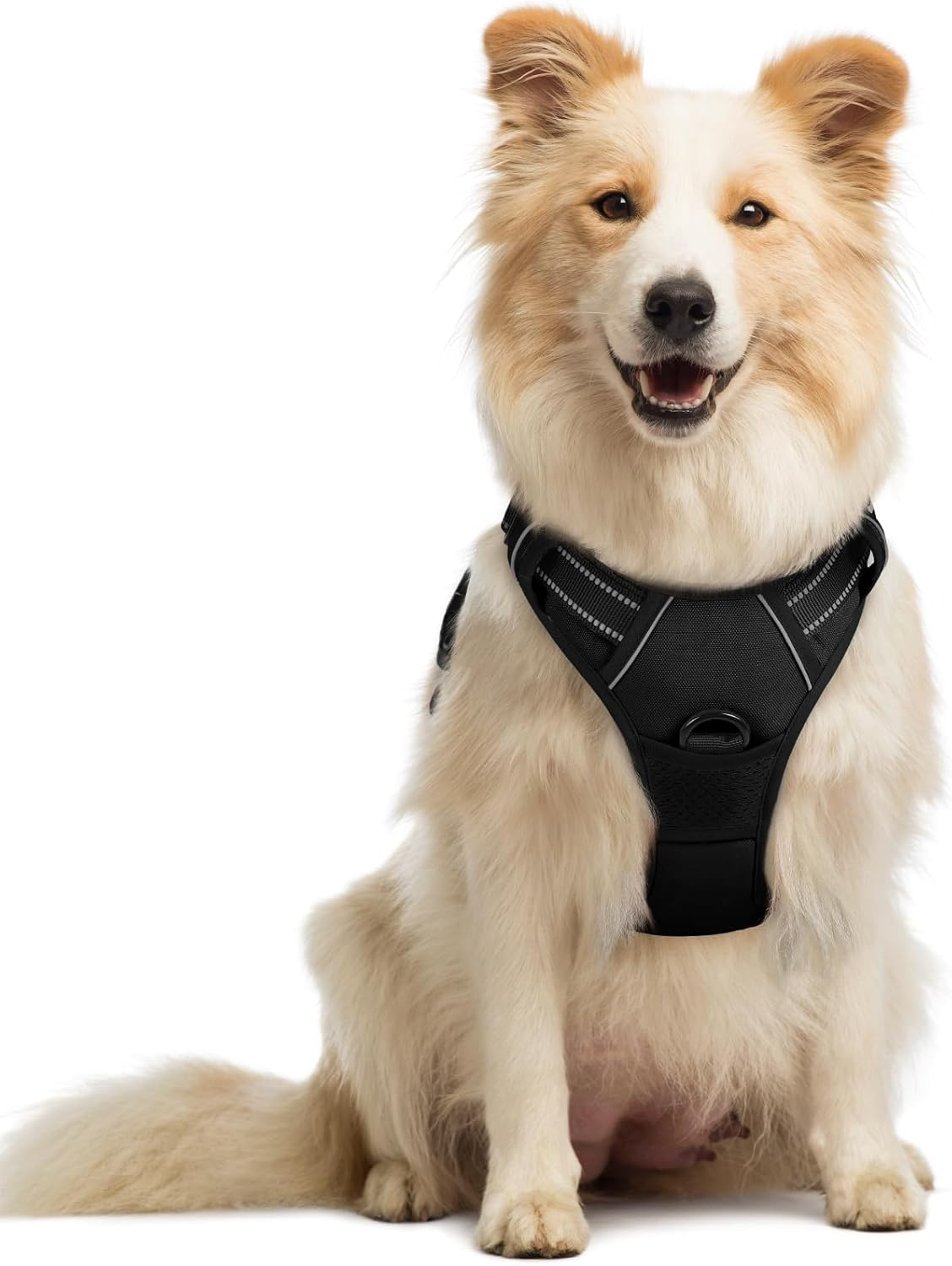 Rabbitgoo Dog Harness No-Pull Pet Harness Adjustable Outdoor Pet Vest 3M Reflective Oxford Material Vest for Dogs Easy Control for Small Medium Large Dogs, Black, L