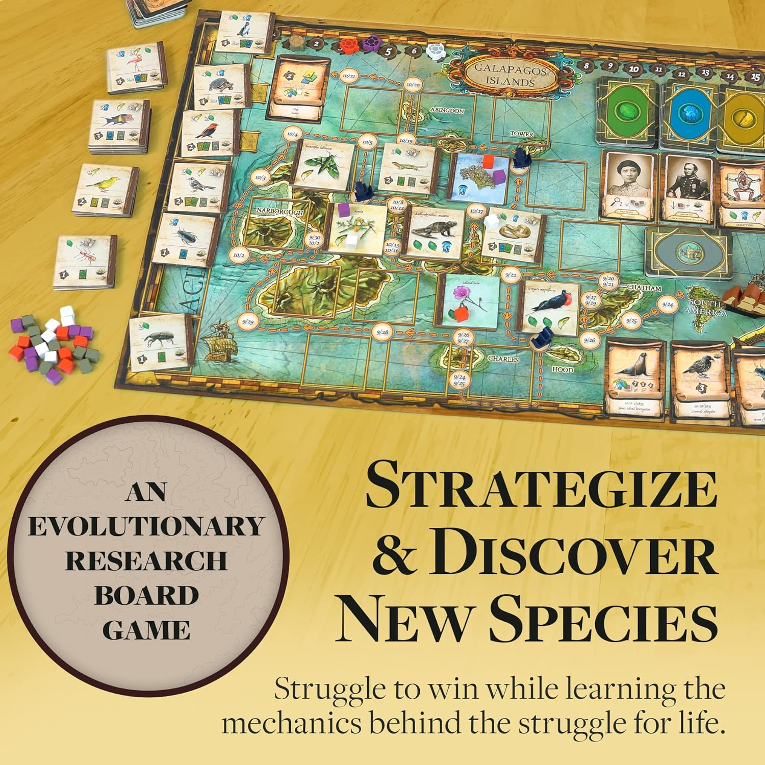 Artana on the Origin of Species Board Game image number 4