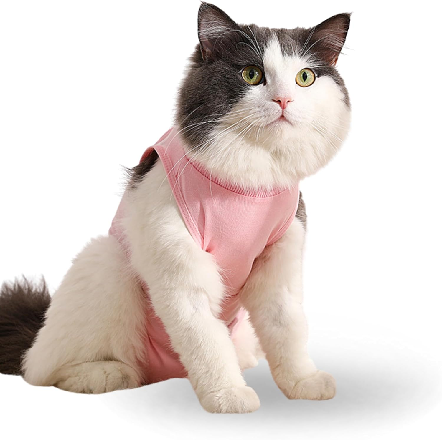 Verderoot Recovery Suit for Dogs or Cats, Elastic Fabric, Breathable Modal Cotton, Open Bottom Design, Extra Wide Abdomen, Pink, S image number 2