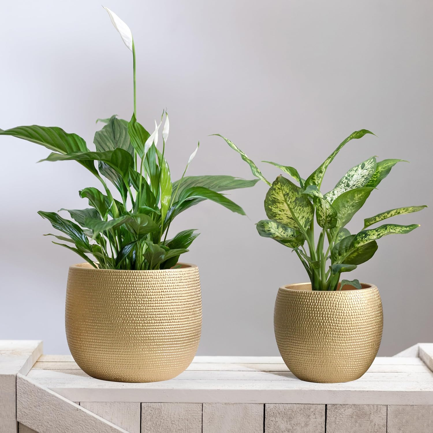 Olly & Rose Barcelona Ceramic Plant Pot Set 2 - Gold Flower Pots - Indoor & Outdoor Planters Home and Garden Decor (Gold) image number 2
