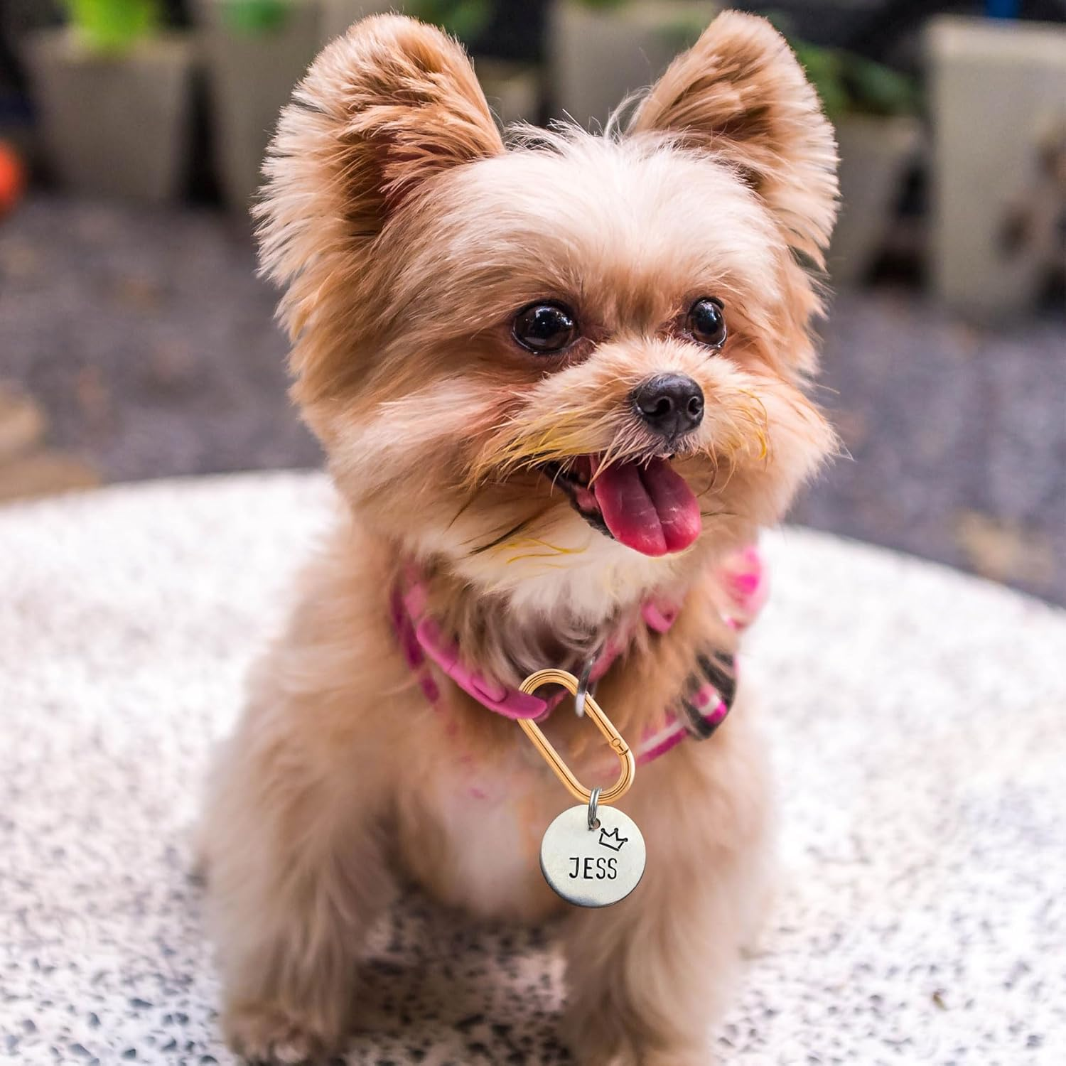 STSTR 3 PCS Oval Spring Ring Clips, Metal Keyring Purse Clip, Heavy Duty Opening O Ring Carabiner for Keychains, Buckle Clasp for Backpacks, Purse, Keys, Bag Strap (1.97 &times; 0.94 Inch), Light Gold - Black image number 2