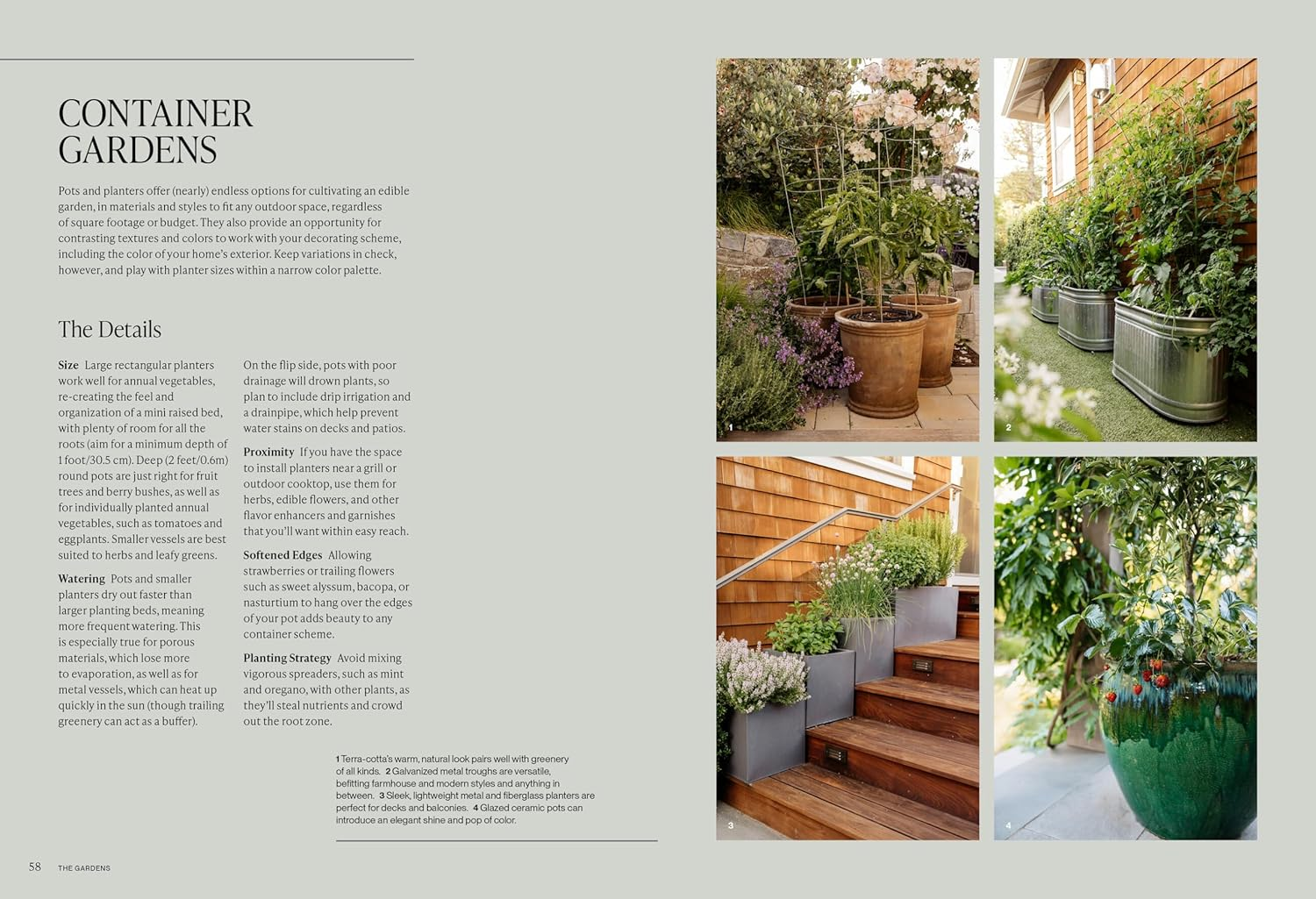Food Forward Garden Design: a Complete Guide to Designing and Growing Edible Landscapes image number 4