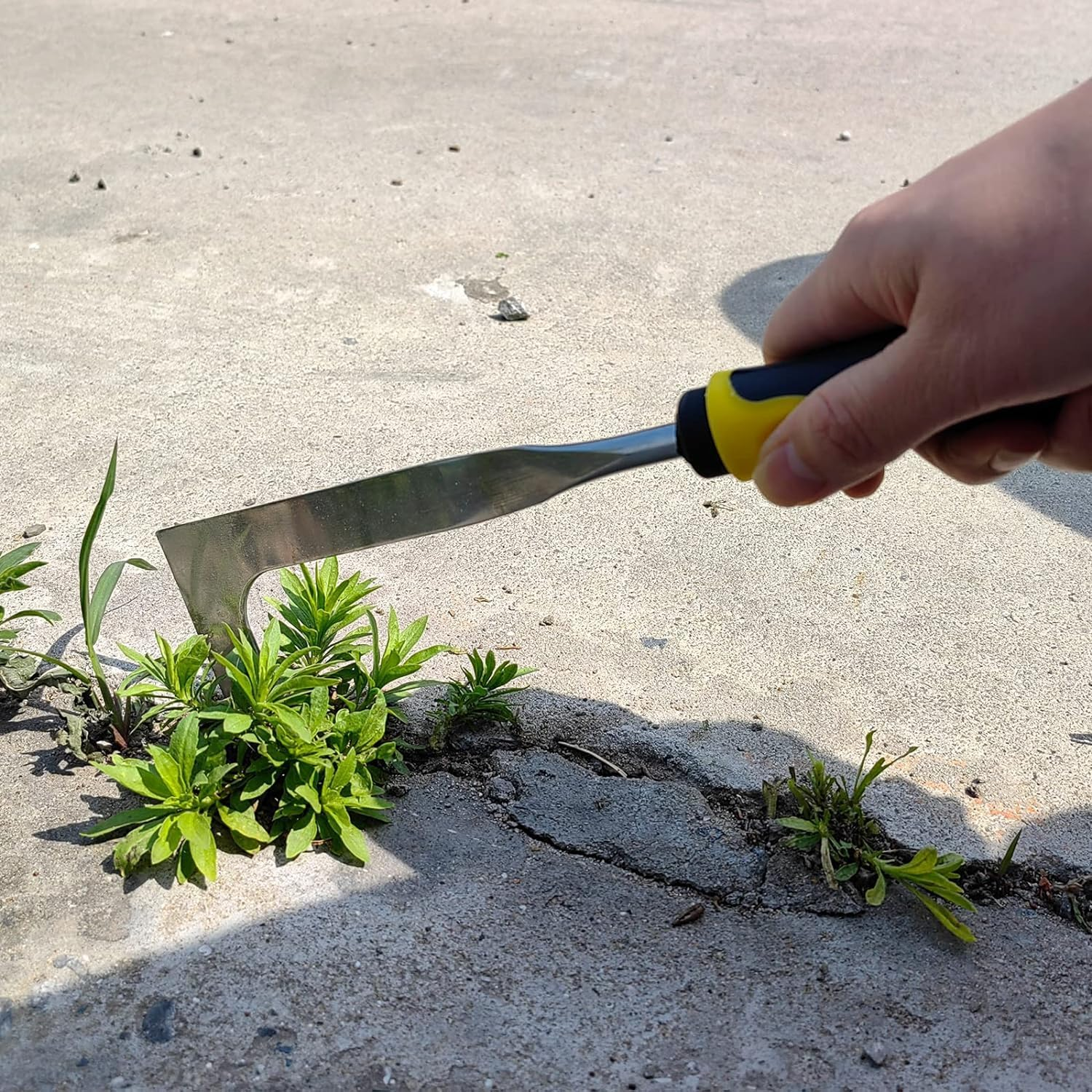 Crack Weeder, Paver Weed Removal Tool, Crevice Weeding Tool for Sidewalk, Driveway and Garden image number 2