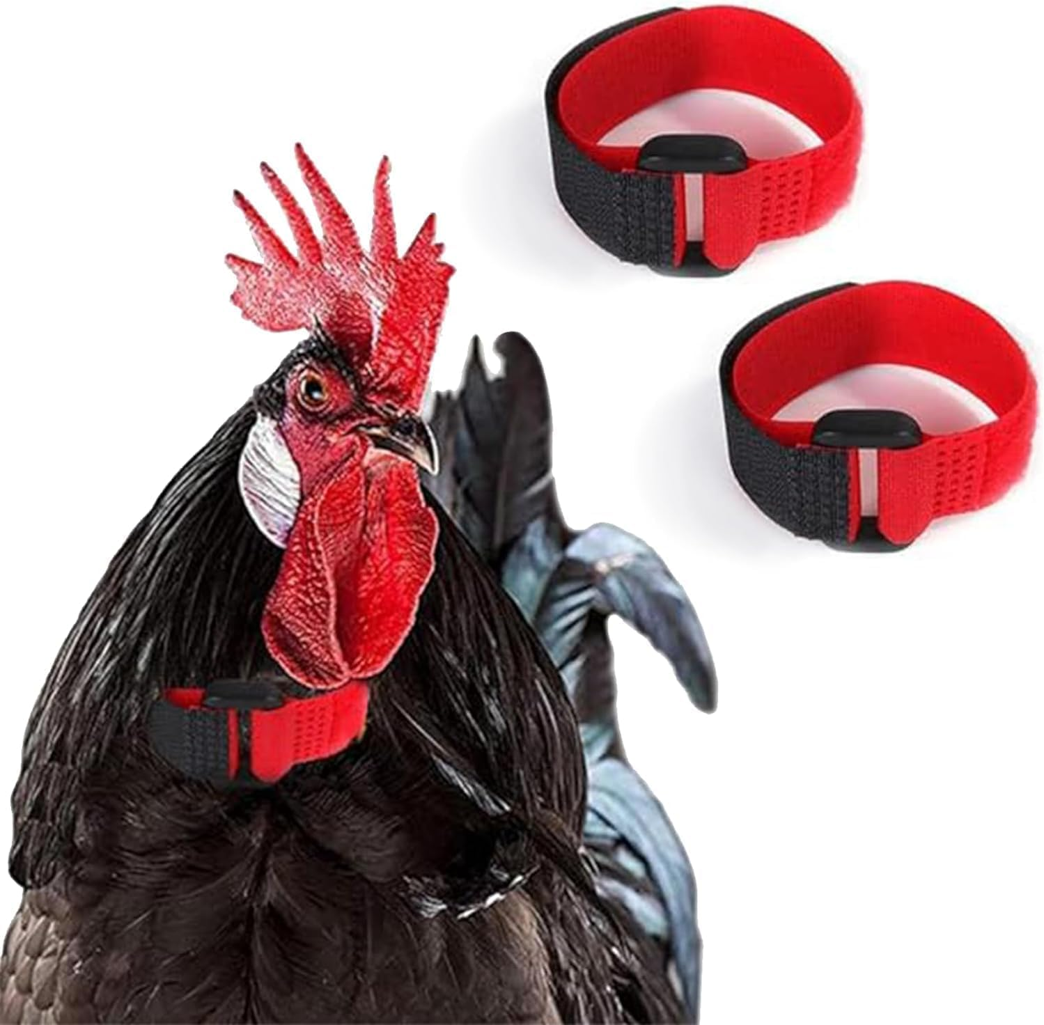 2Pcs Black and Red Crow Rooster Collar, Neck Belt for Roosters Cockerel Velcro Rooster, Crow Collar, Nylon Prevent Chickens from Screaming Basic Collars image number 5