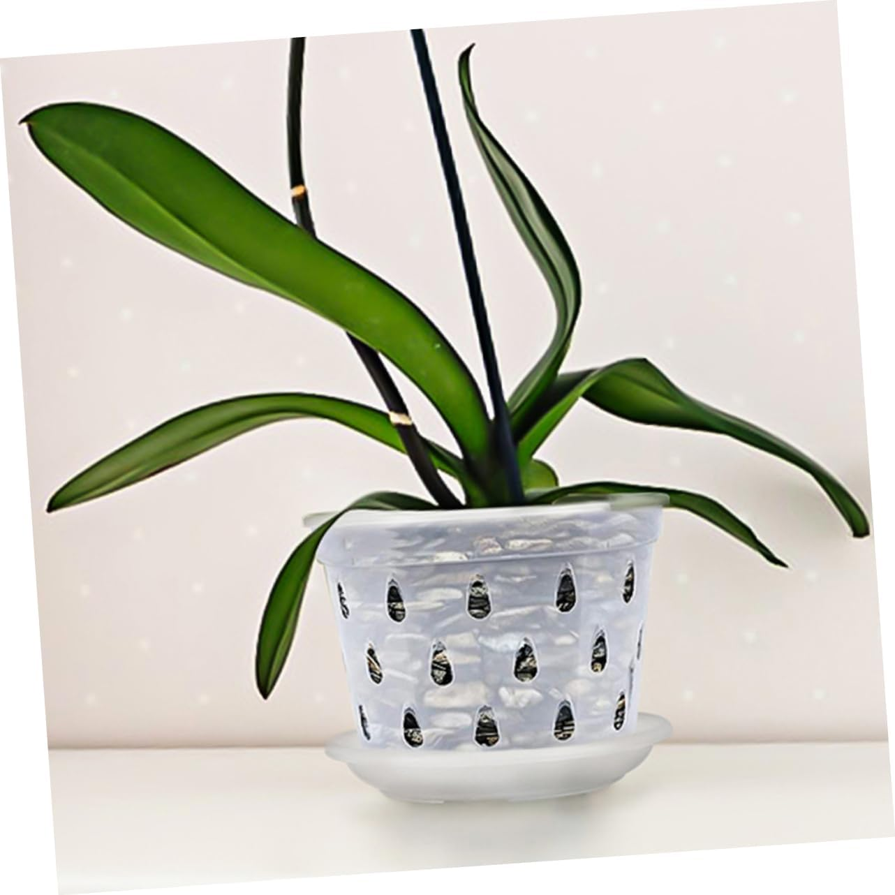 BEBEMOKO Plastic Orchid Pots Holes and Trays for Indoor and Outdoor Gardening, Breathable round Nursery Plant Containers 5Pcs Set Drainage for Orchids