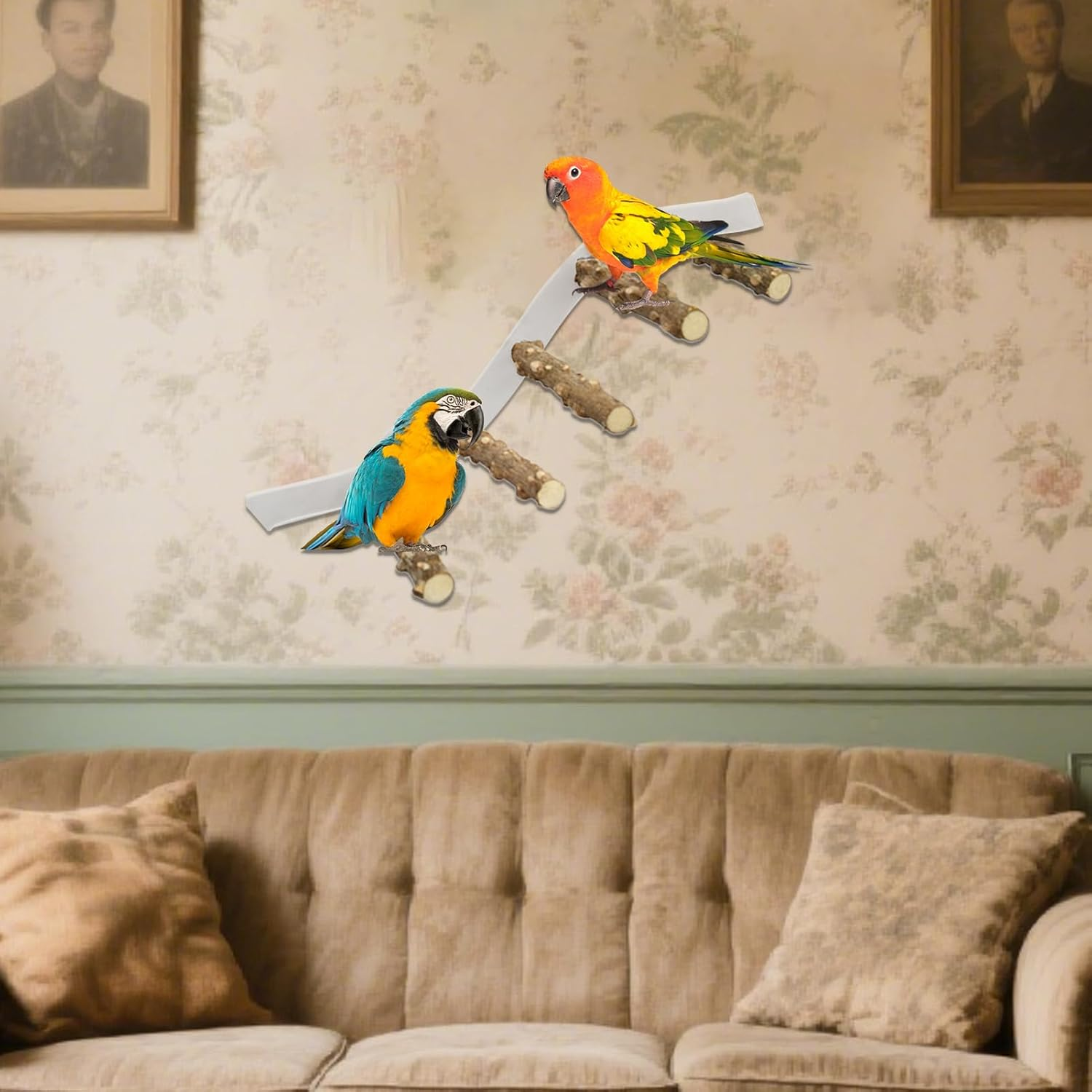 Nybhyjka Perch for Birds,Conure Climbing Ramp - Portable Suction Cup Cage Perch for Parrot, Parakeet, Conure for Home, Wall, Window image number 5