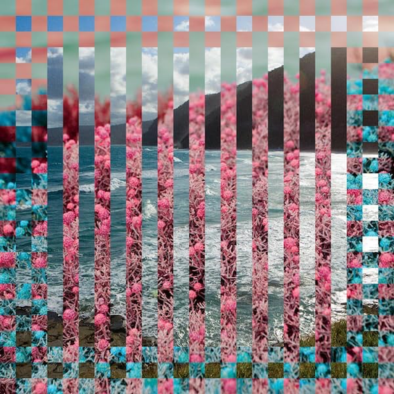 Lost in the Sea of Paradise image number 1