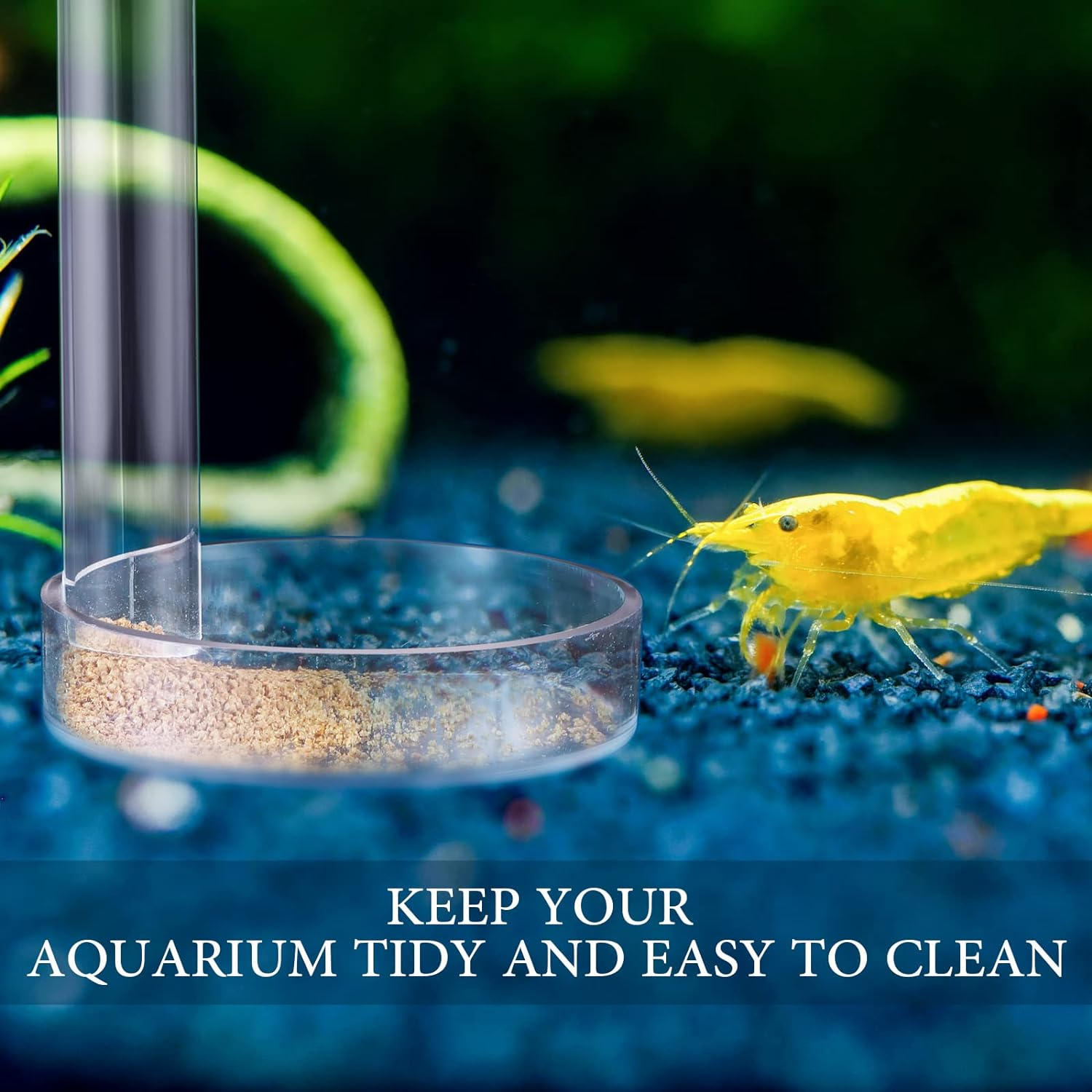 12 Pieces Shrimp Feeder Set 4 Acrylic Tubes & 8 Dishes, Clear Crystal Glass Bowl, Fish Tank Feeding Supplies for Shrimp & Betta, 2 Sizes