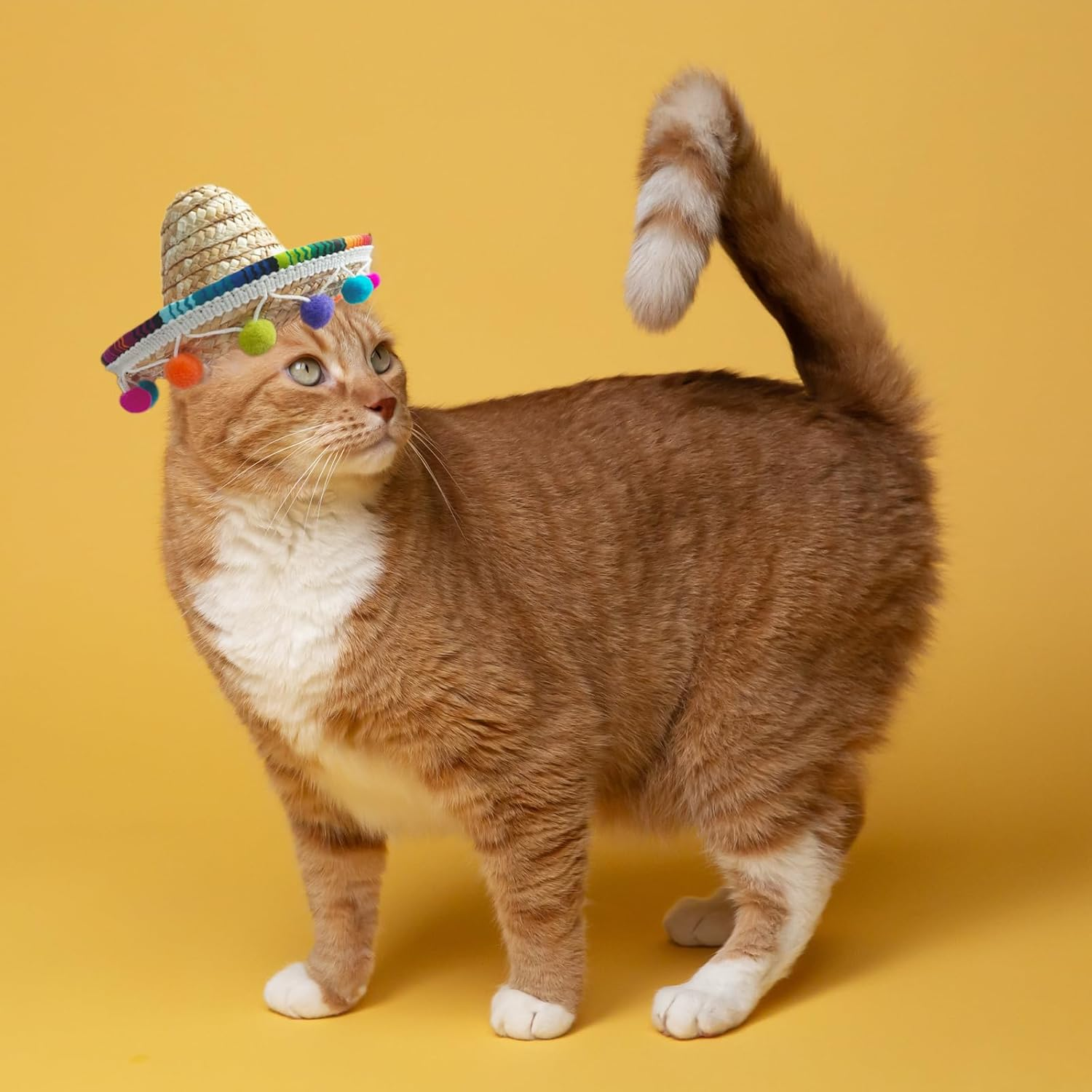 Cat Sombrero Cat Hats Bandana Scarf Rainbow Scarf Pet Straw Hat Cinco De Mayo Pet Hats Mini Sombrero Hat for Cat Puppy Small Dog Party/Birthday/Photo(Multicolour+S) image number 1