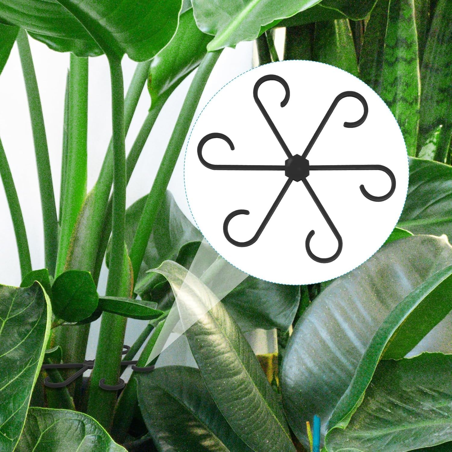 4Pcs Plant Stem Support, Climbing Houseplant Stem Supports Plant Climbers Stem Holders Plants Climbing Rack Plant Growth Accessories for Climbing Plants (Black) image number 2