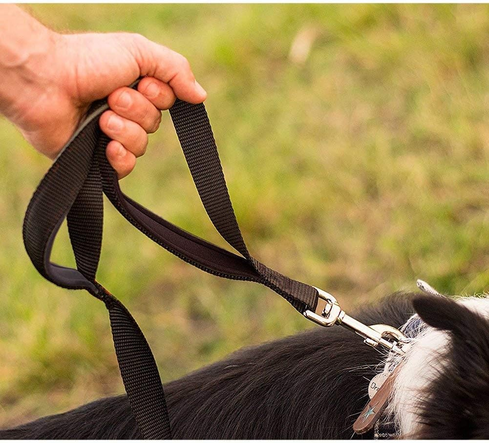 Dog Leash for Large Dogs, Traffic Padded 2 Handles for Extra Control, 6 FT Long with Reflective Stitch for Night Walking Black image number 4