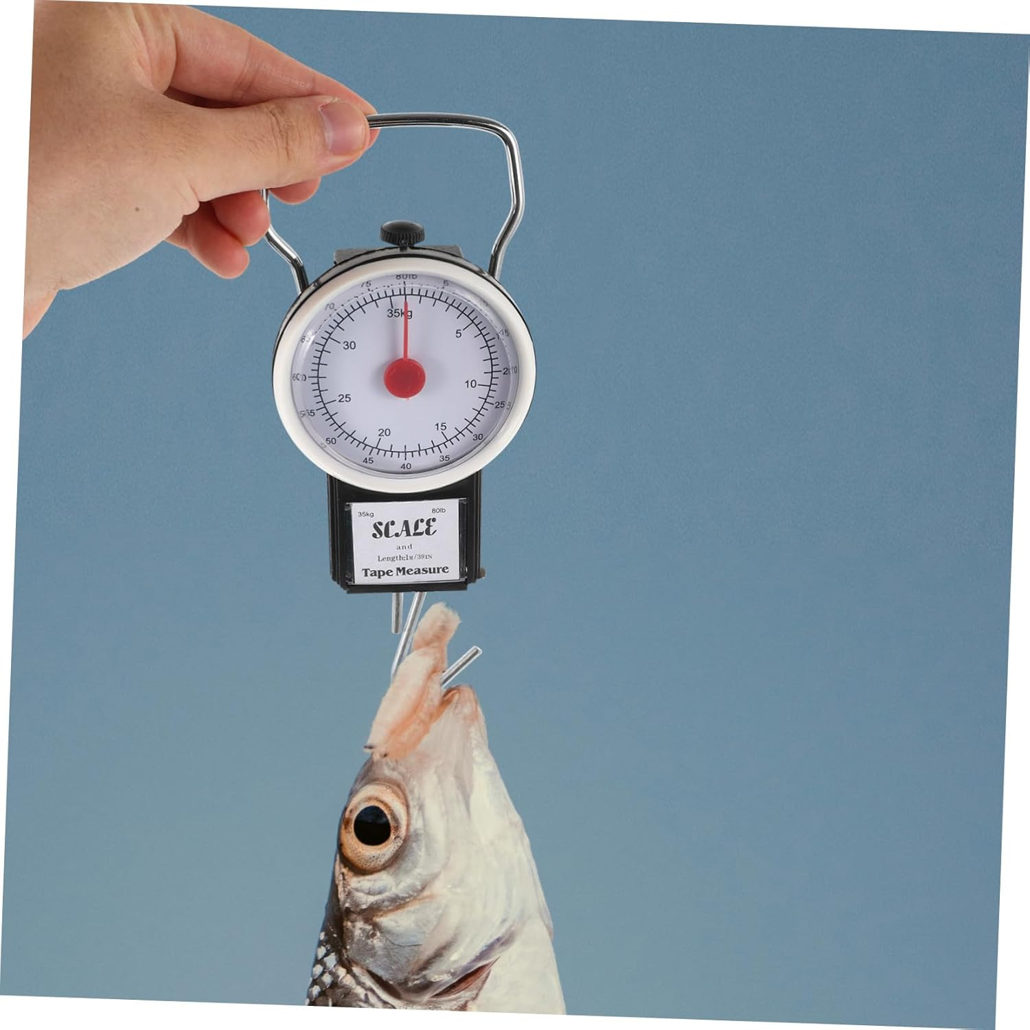 Amosfun Luggage Scale Travel Manual Spring Scale for Weight Measurement for Fishing for Travel and Suitcase image number 3