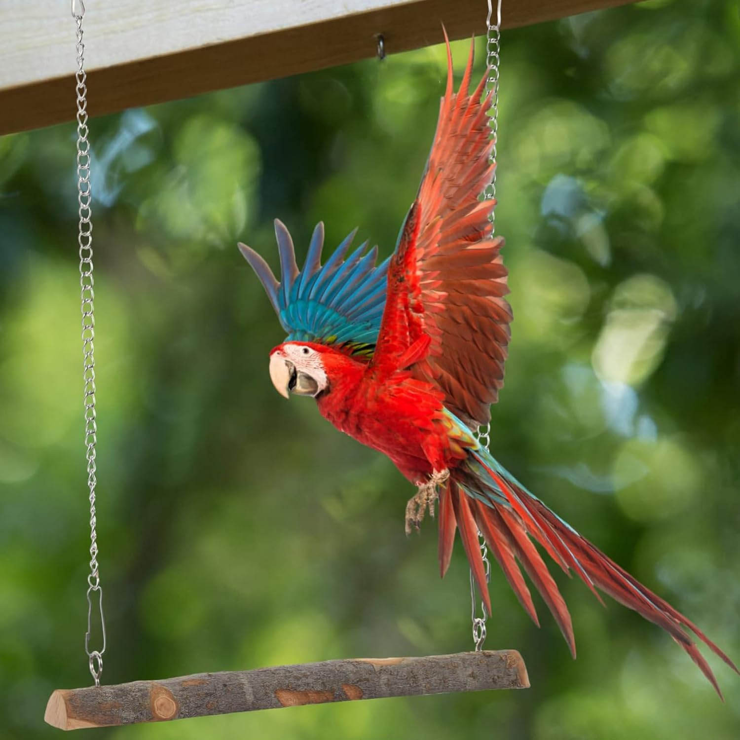 Lexziuo 1PCS Natural Wood Bird Cage Swing - Safe Chewing Perch Toy for Parakeets, Parrots & Cockatiels, Fun Training Stand with Wooden Beads for Budgies & Small Birds Interactive Play image number 2