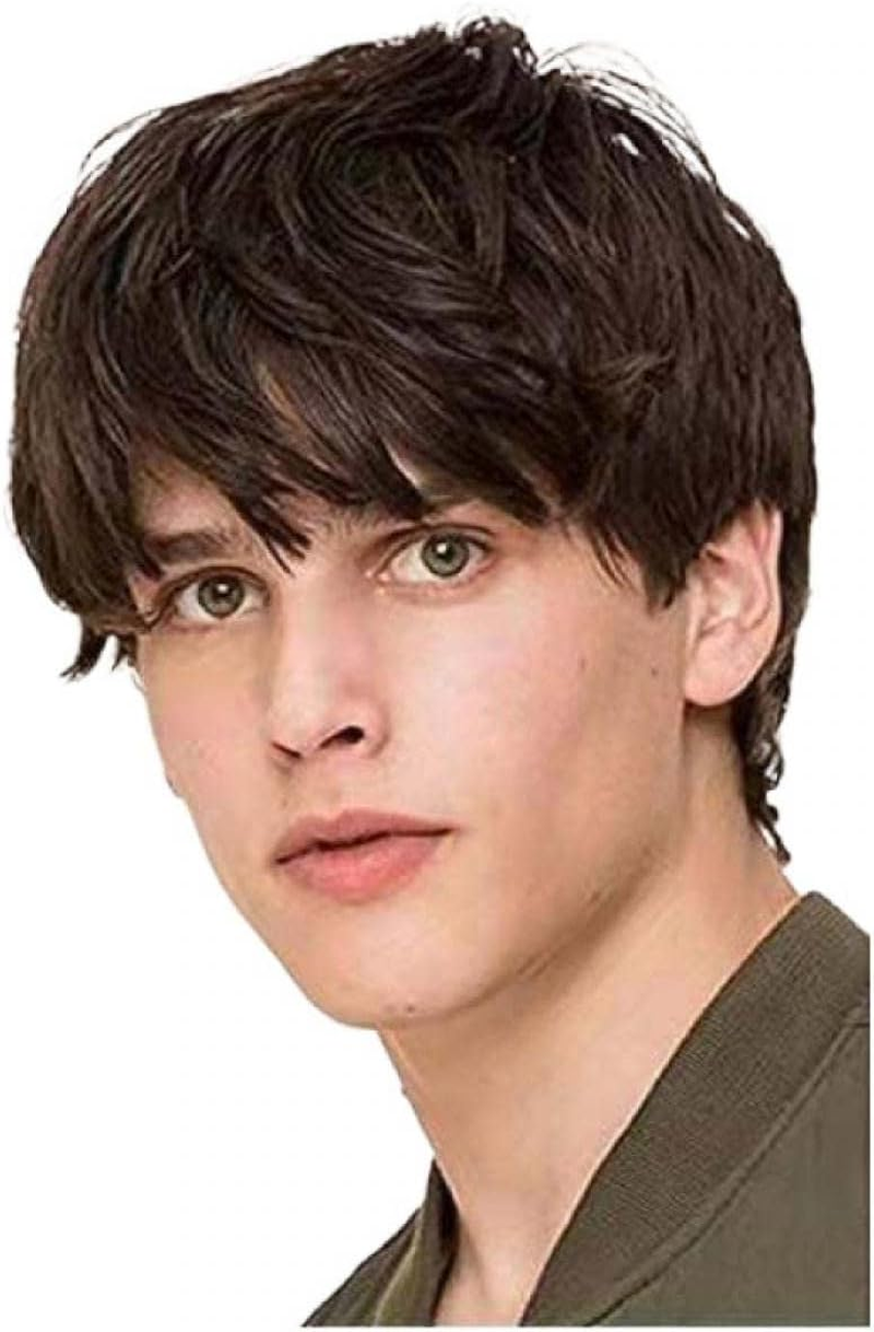 Men'S Wig, Short Straight Brown Hair Short Fluffy Brown Short Curly Hair, Angled Bangs with Bangs Hair image number 1