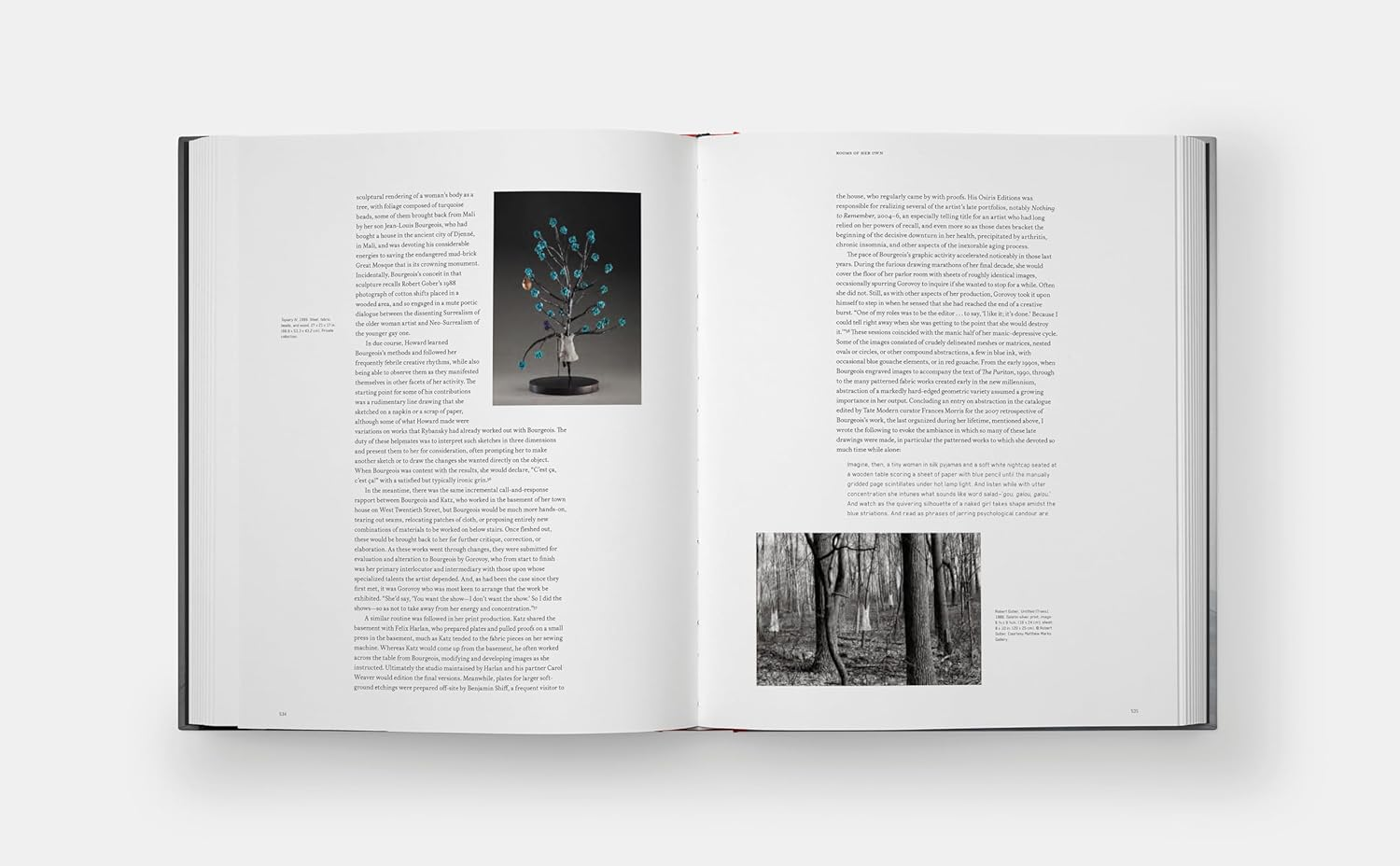 Intimate Geometries: the Art and Life of Louise Bourgeois image number 6