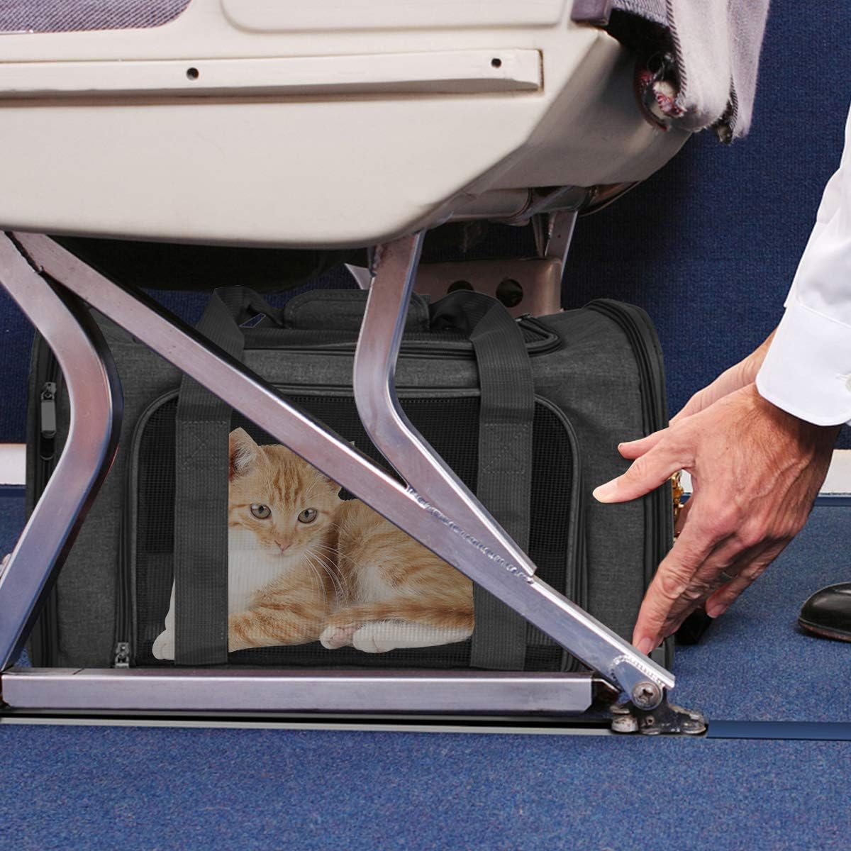 Transport Bag for Cats, Dogs, Foldable Carry Box for Medium Small Pets on Plane, Transport Box for Pets, 15 Lbs Cats Dogs Carry Box (Black, Medium) image number 2