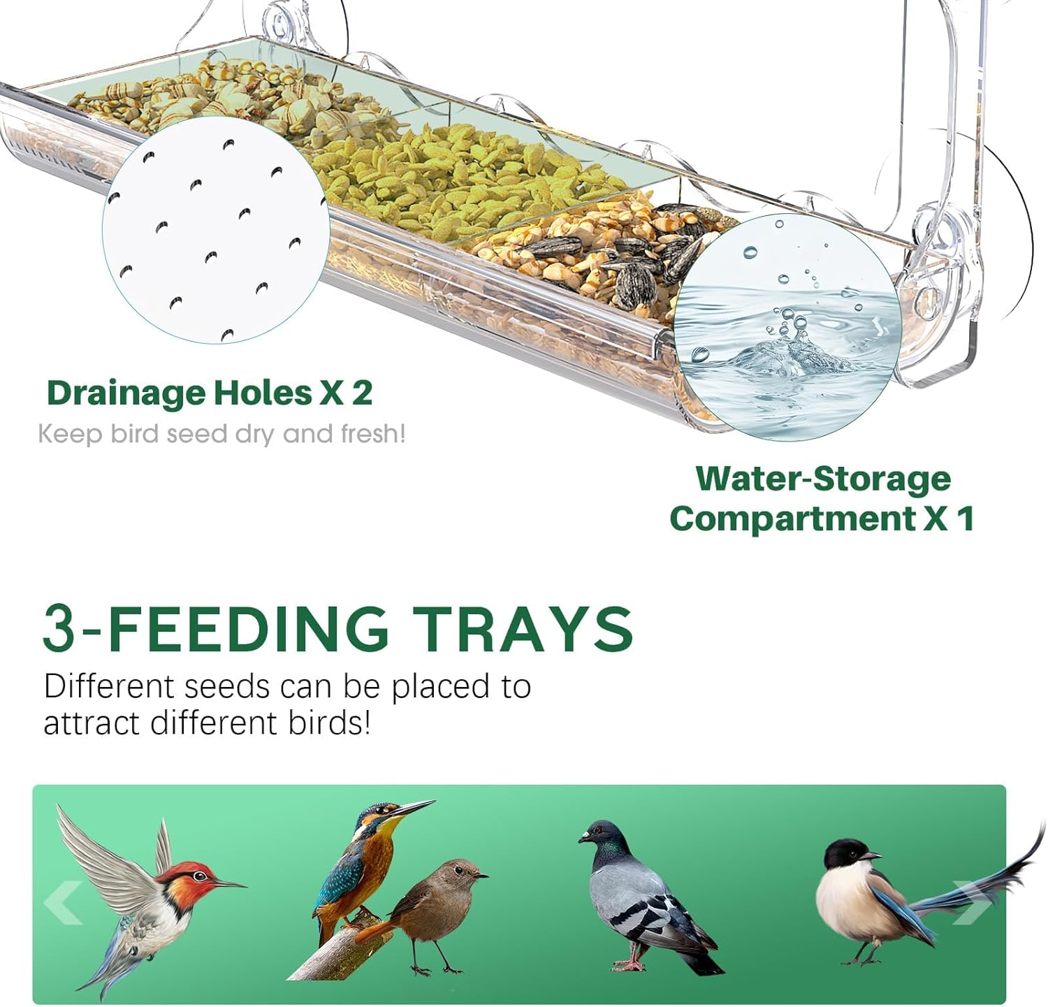 Bird Feeder Backyard, Bird Feeders for outside Window with Strong Suction Cups, Transparent Bird House outside Wild Bird Watching for Garden, Yard, Elderly Kids Viewing Birding & Wildlife image number 1
