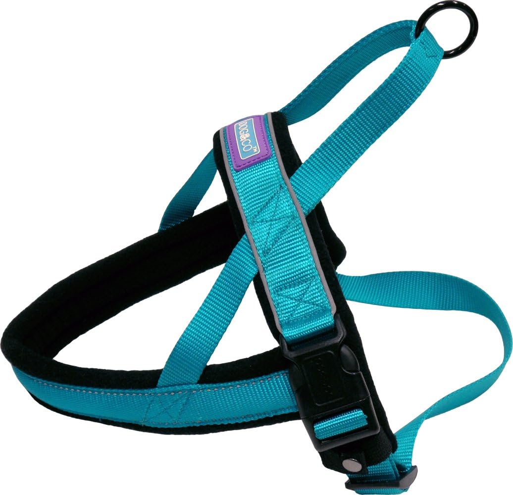 DOG & CO Norwegian Performance Harness, Large, Aqua