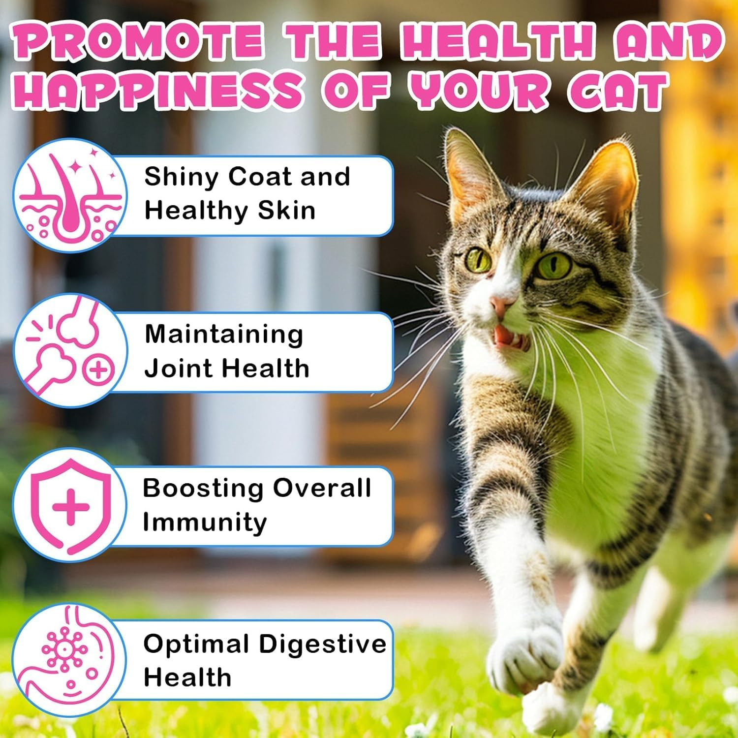 Collagen for Cats 60Ml | Liquid Cat Collagen Supplement with Biotin, MSM & Ginger | Supports Skin, Coat, Joint & Digestive Health | Salmon Flavour