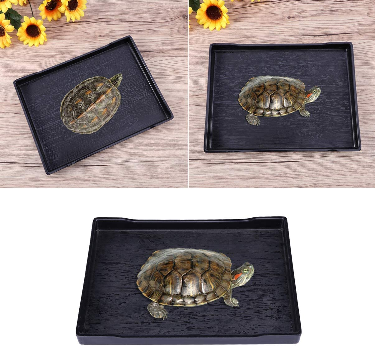 TEHAUX Reptile Food Bowl, Tortoise Large Food & Water Dish Reptile Large Plate Basking Platform Fits for Feed Bath (Black, 24.5 * 18 * 2Cm) image number 6